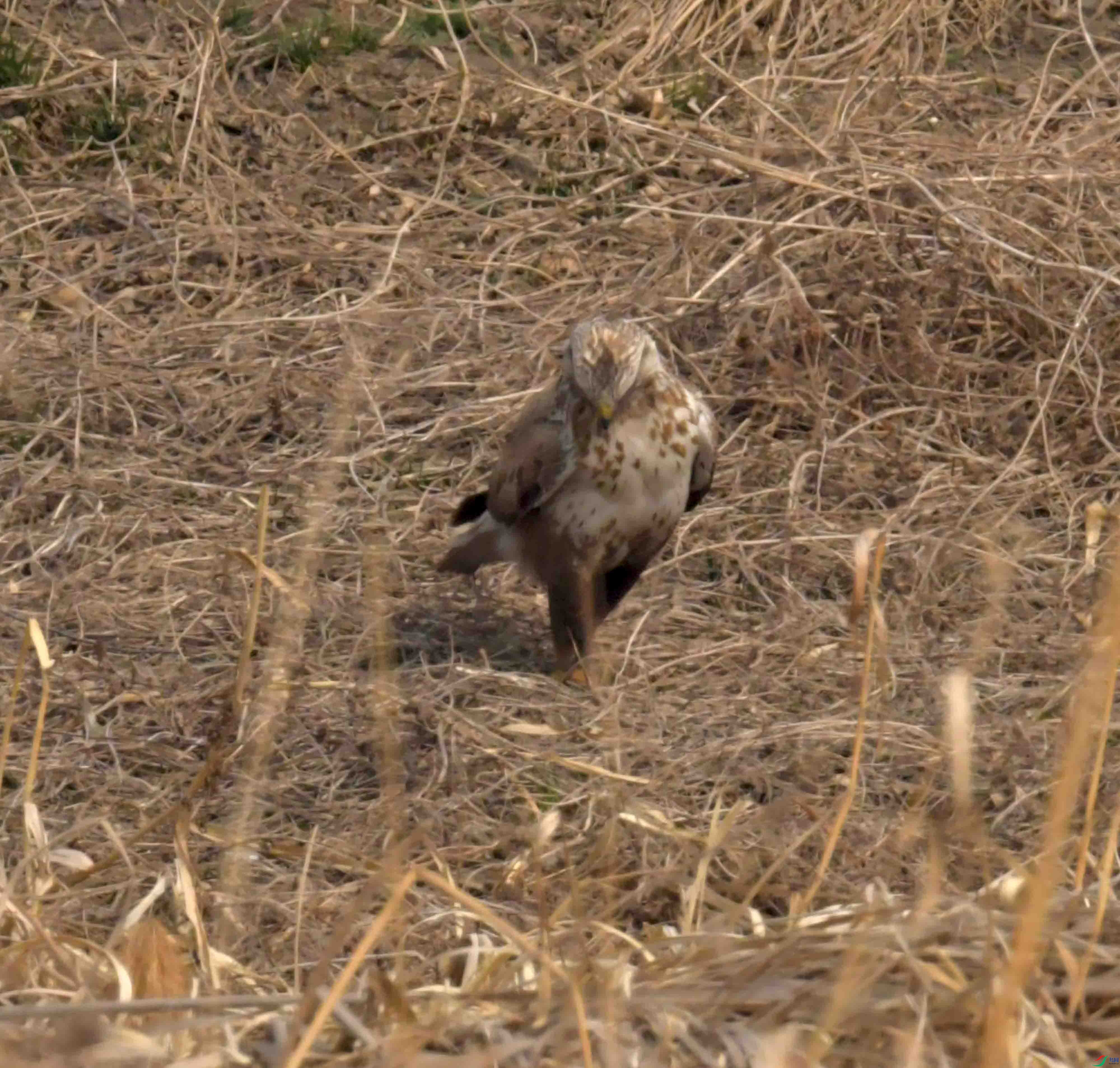 DSC_2272.JPG