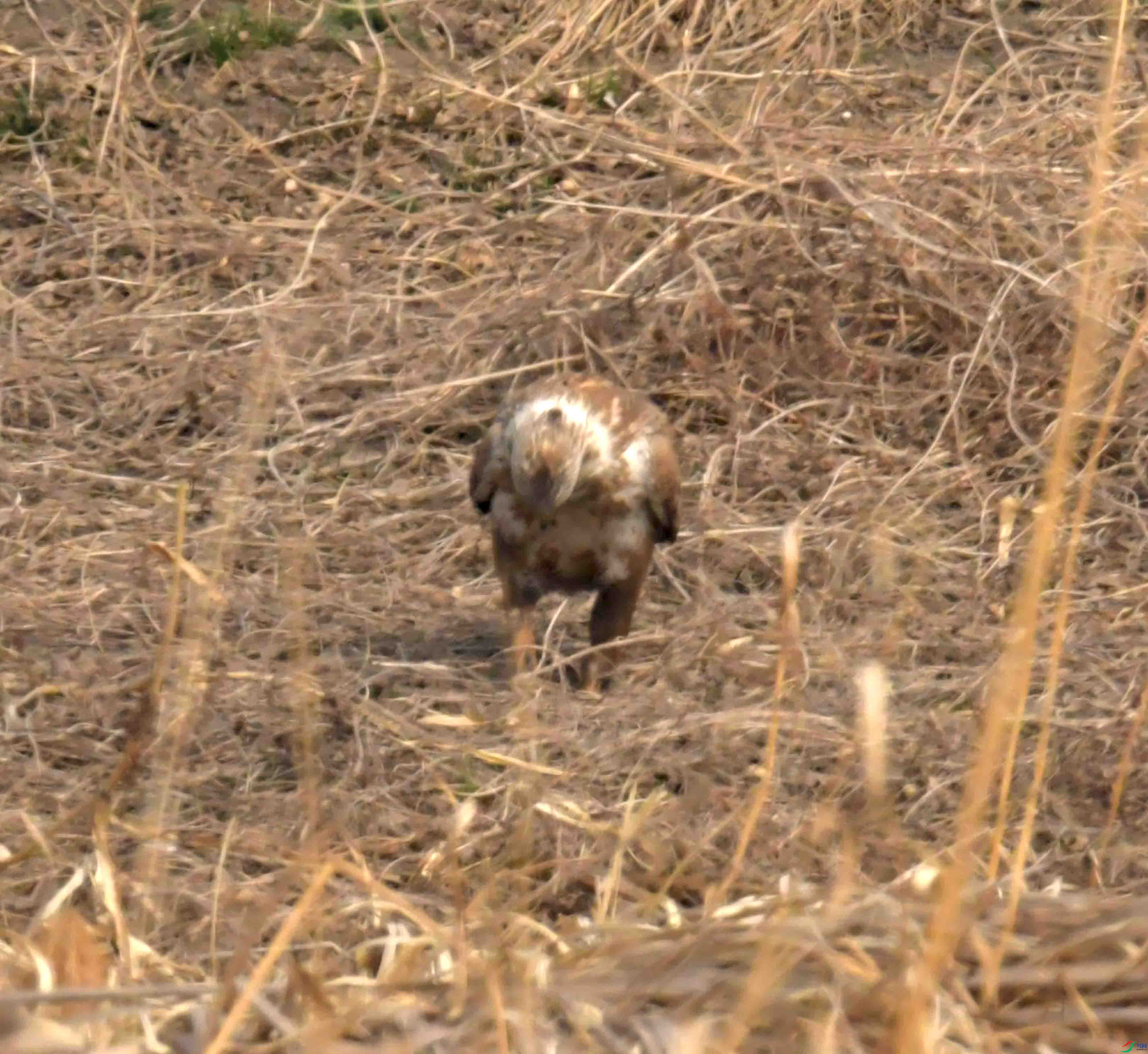 DSC_2274.JPG