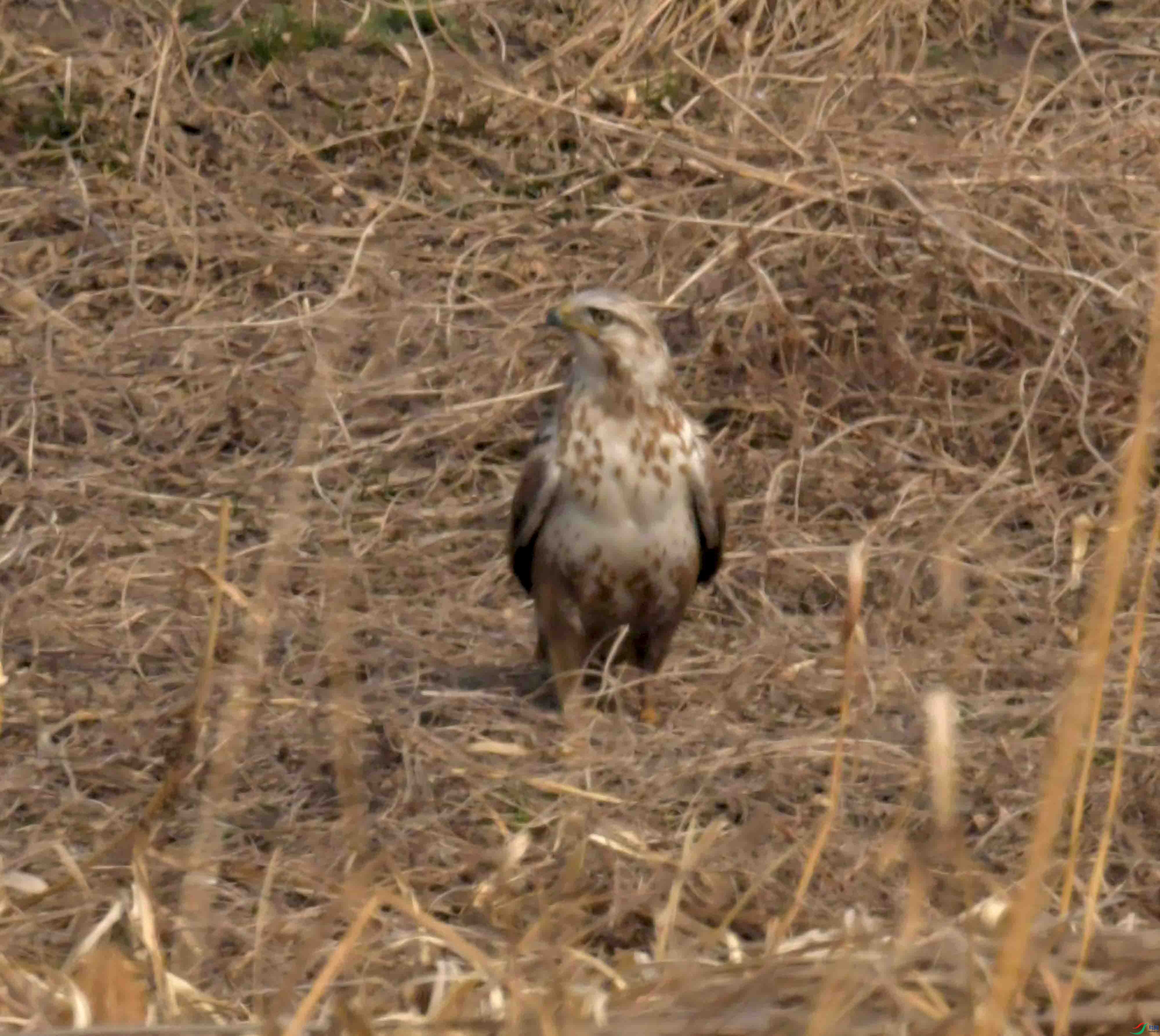 DSC_2279.JPG