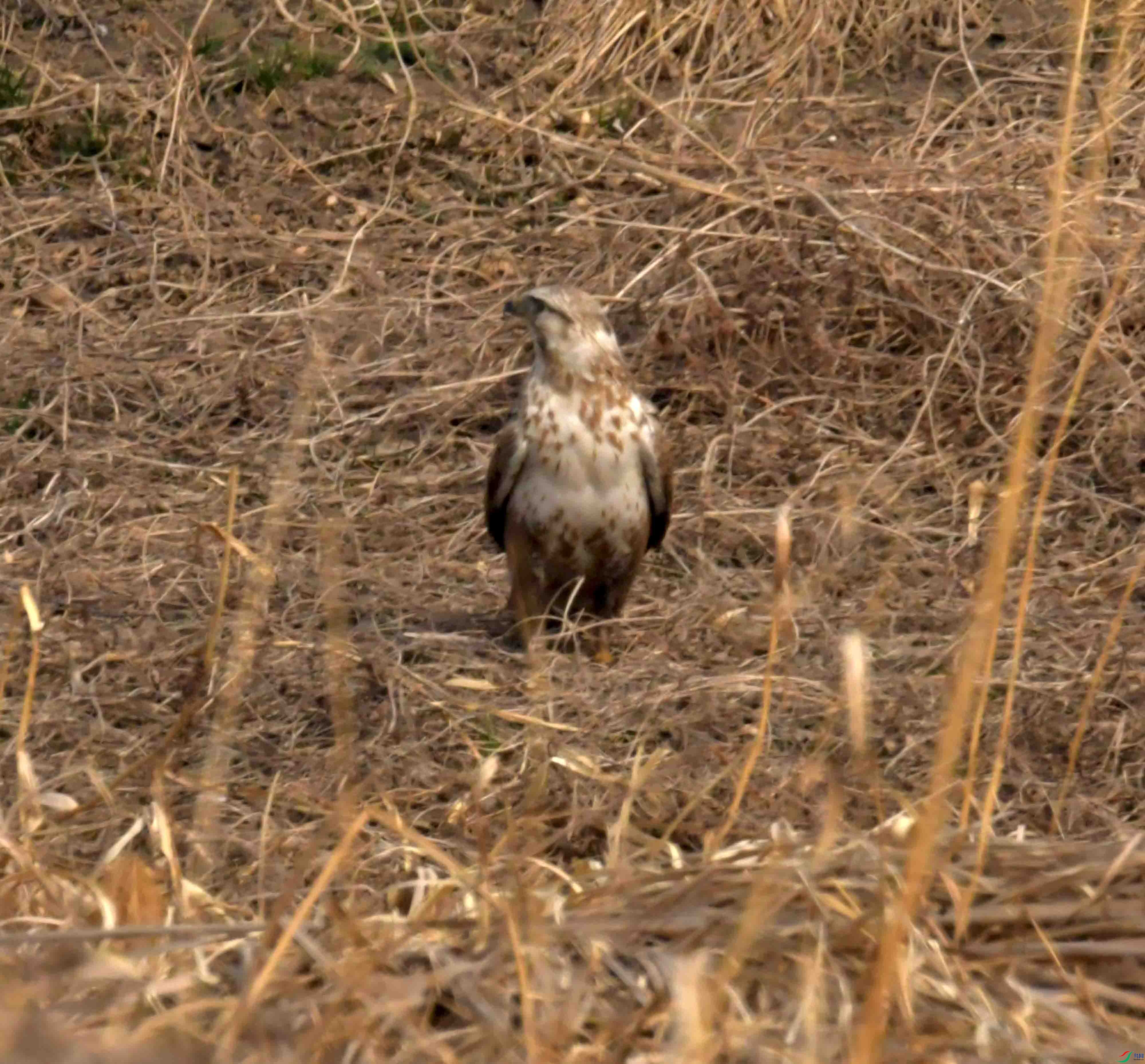 DSC_2280.JPG