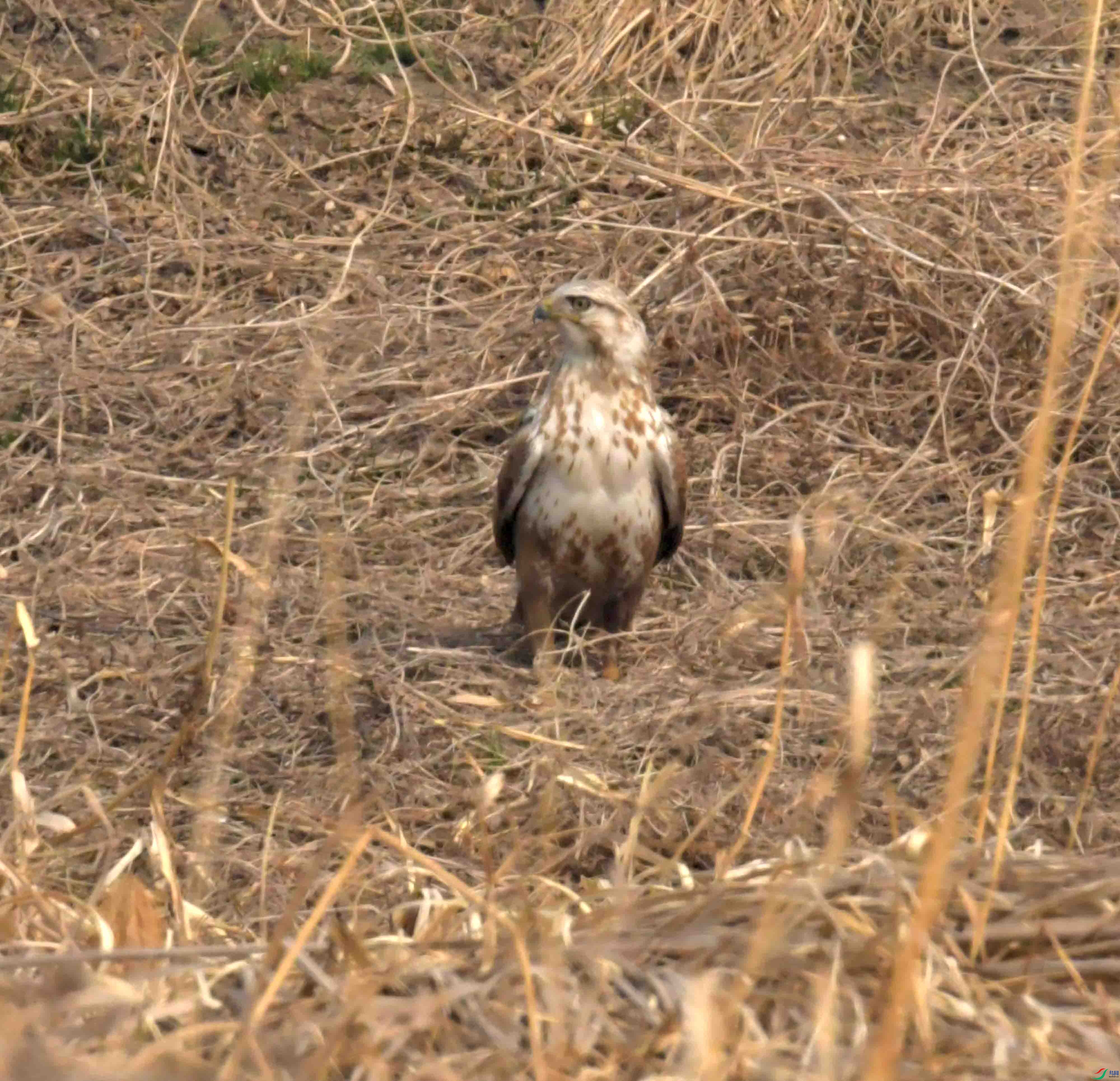 DSC_2282.JPG