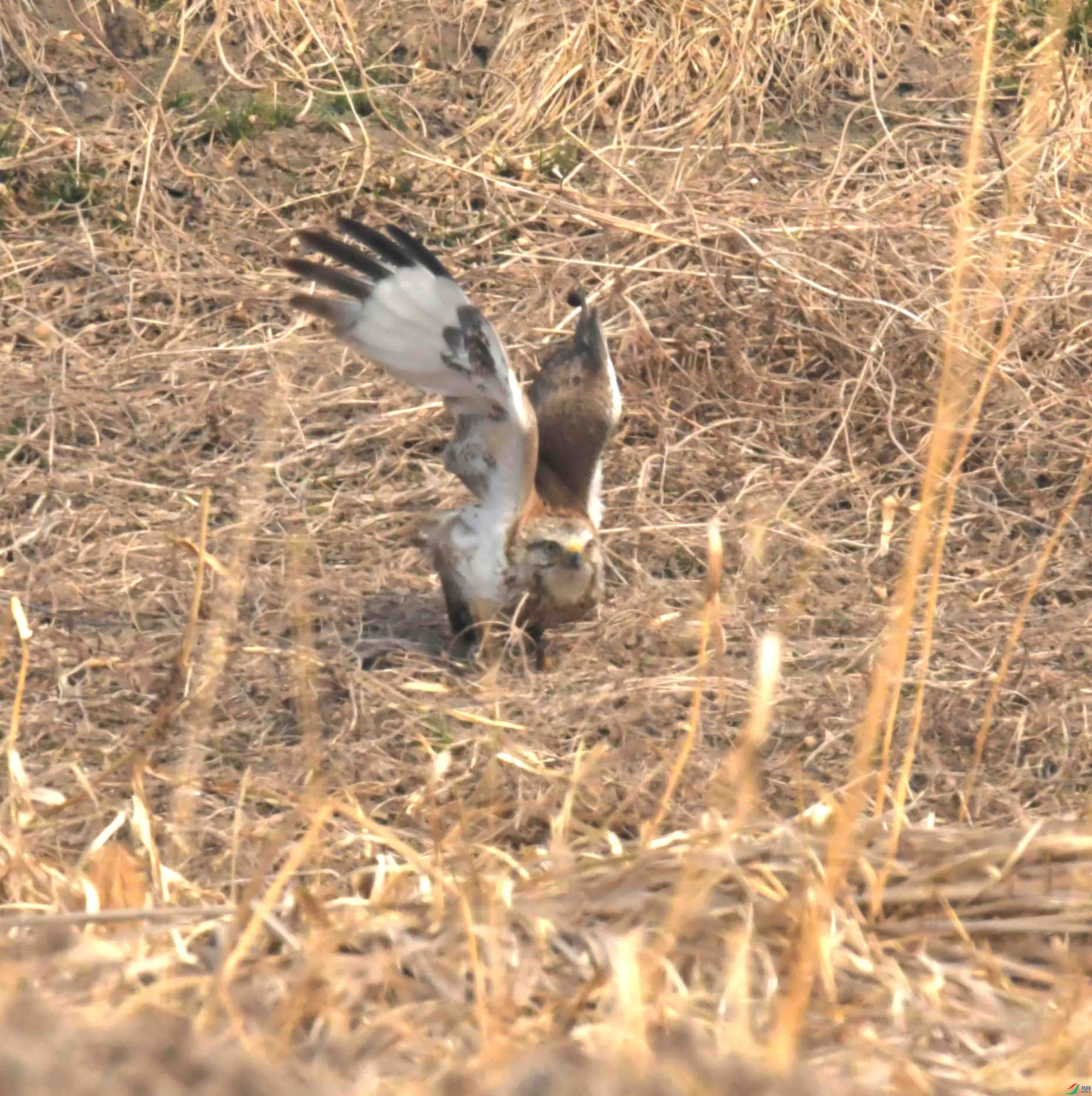 DSC_2285.JPG