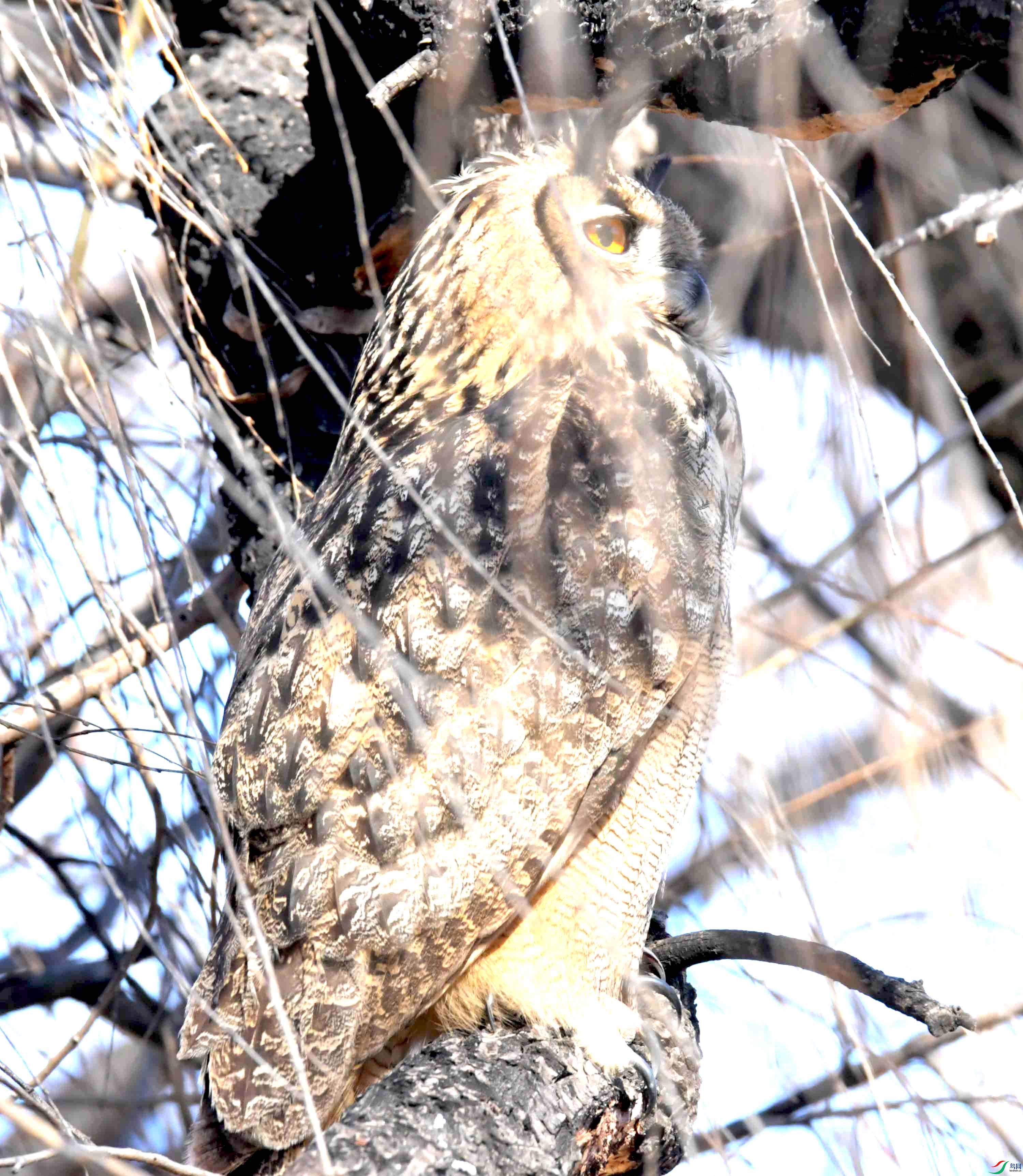 DSC_6132.JPG