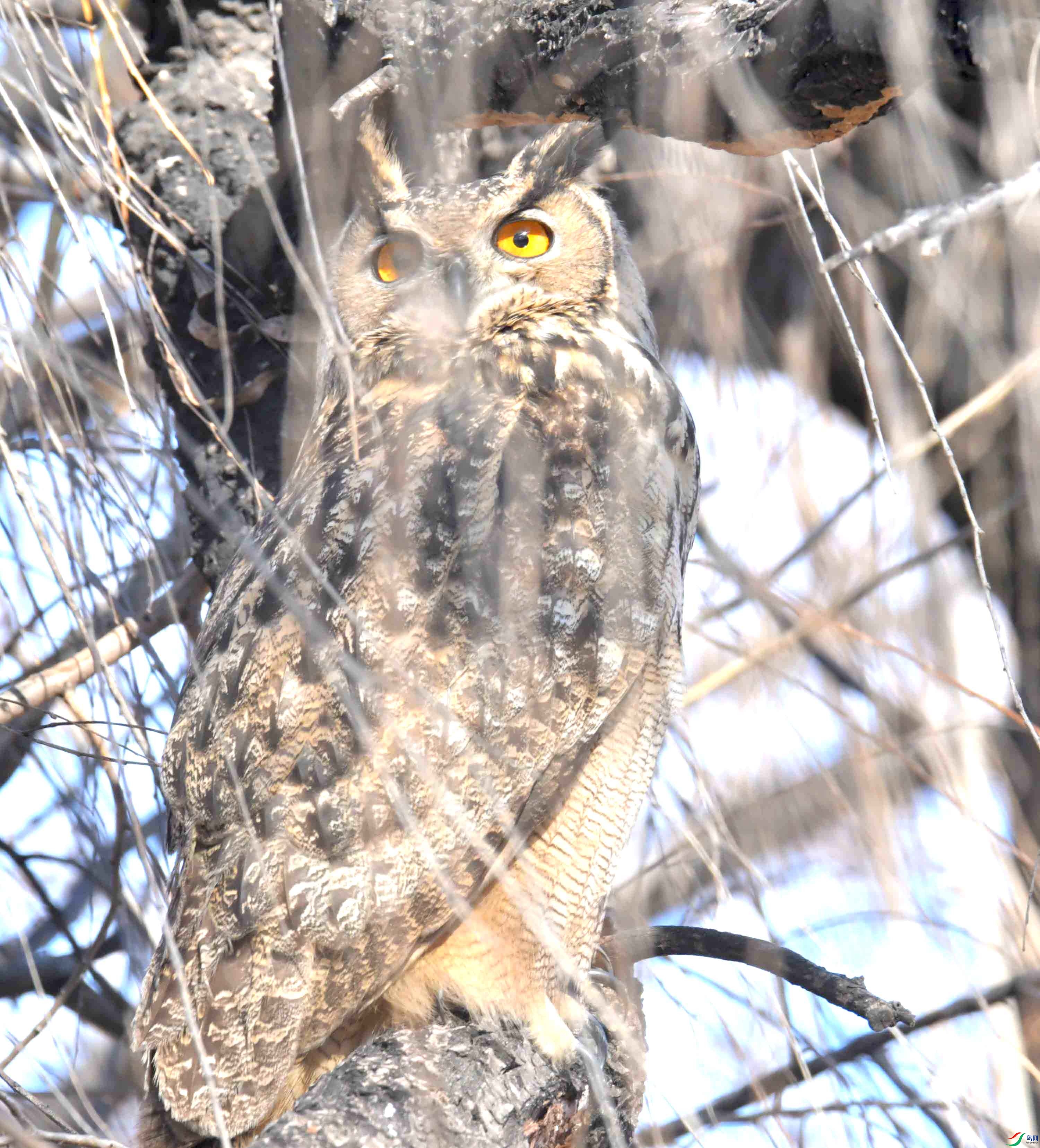 DSC_6140.JPG
