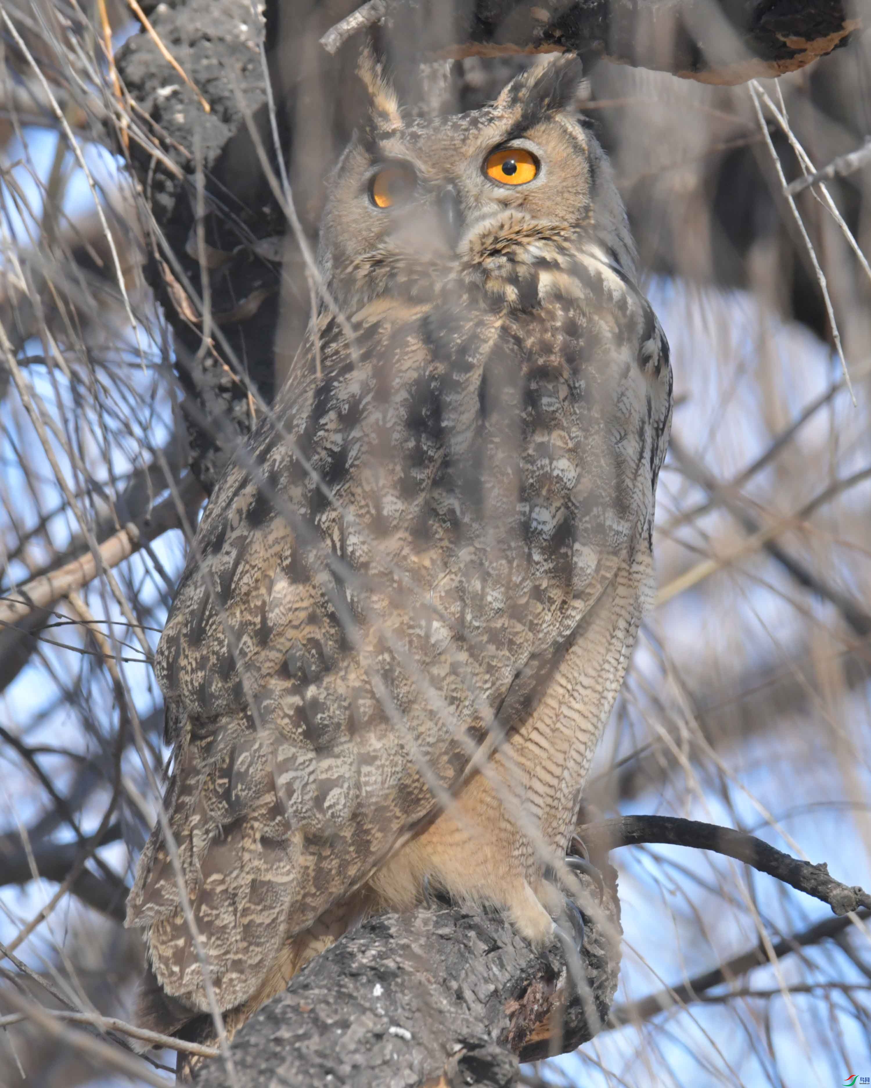 DSC_6142.JPG