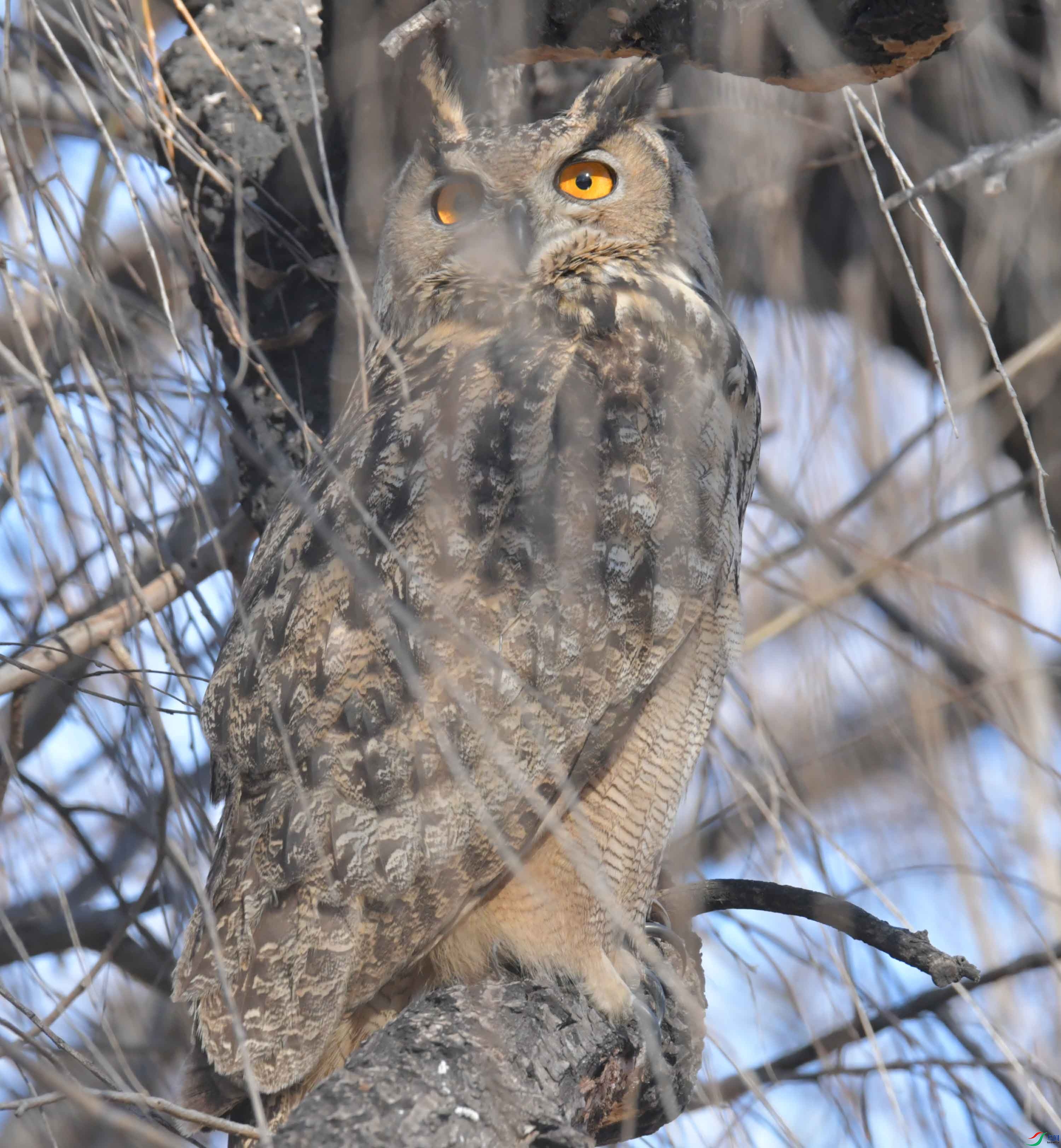 DSC_6143.JPG