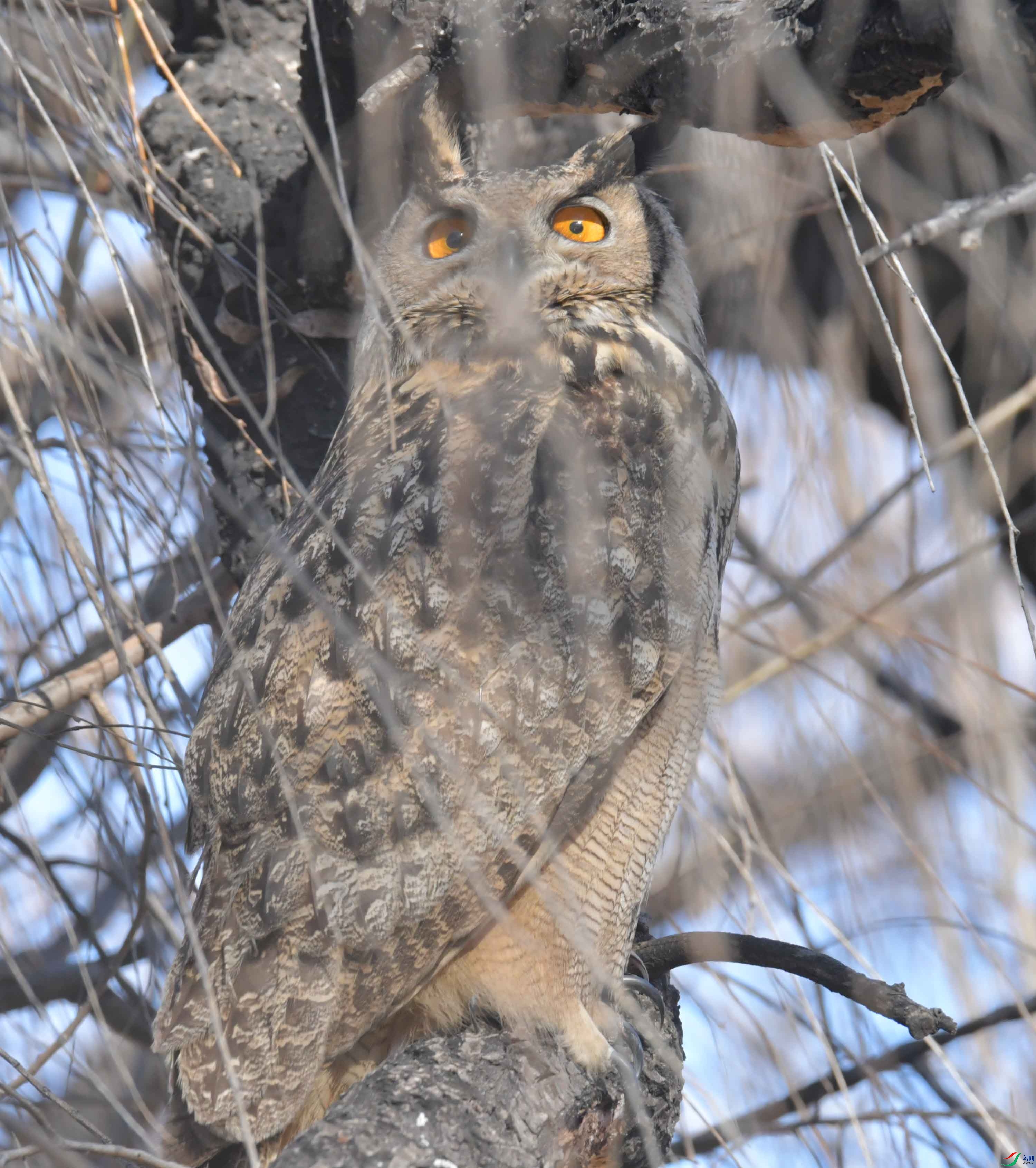 DSC_6149.JPG