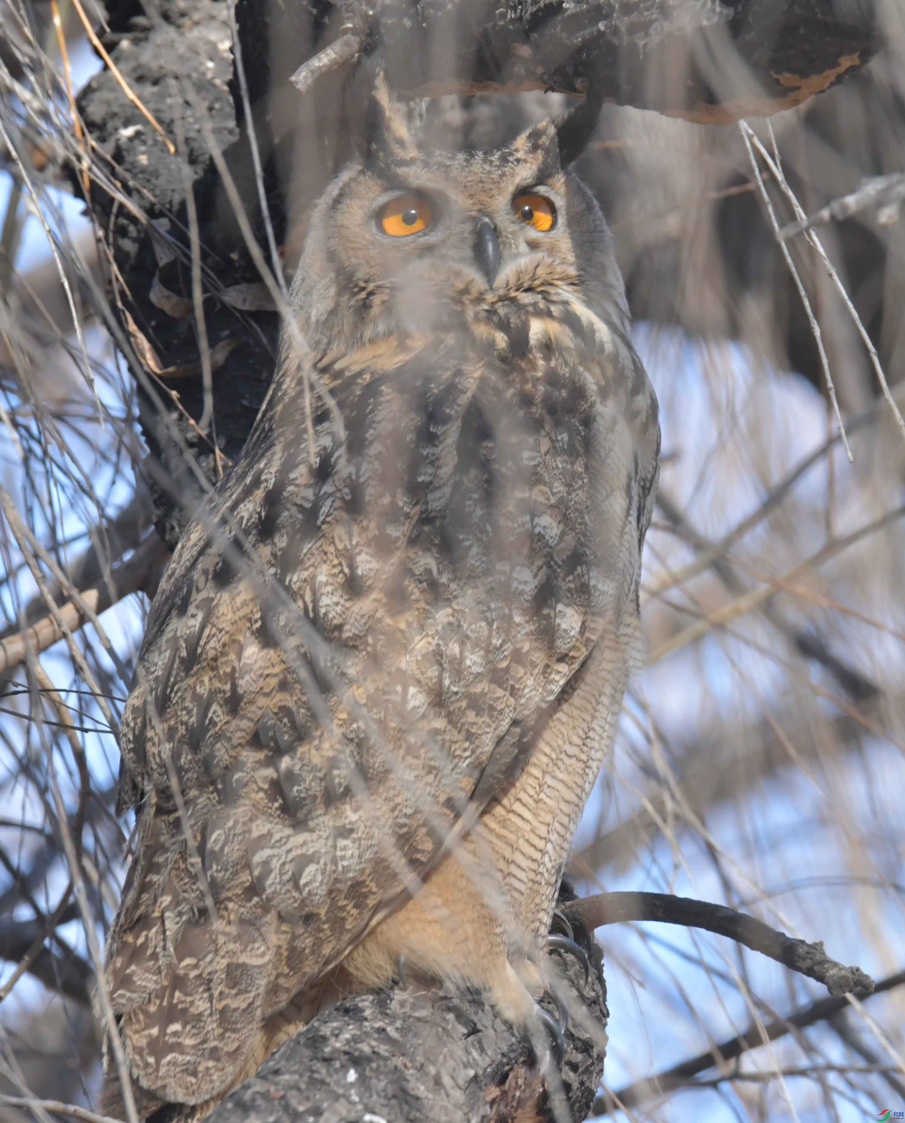 DSC_6153.JPG