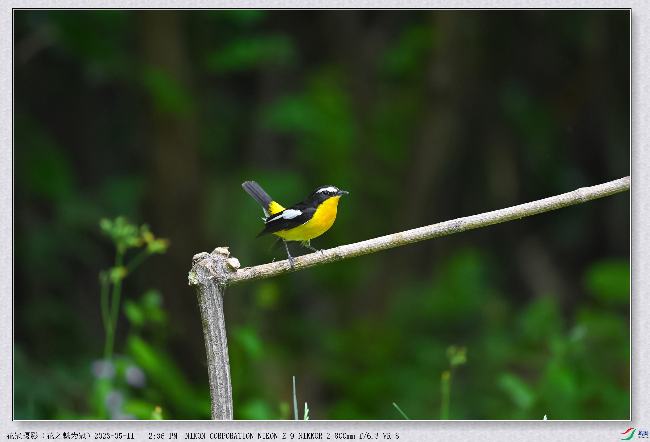 DSC_6066B-1_����.jpg