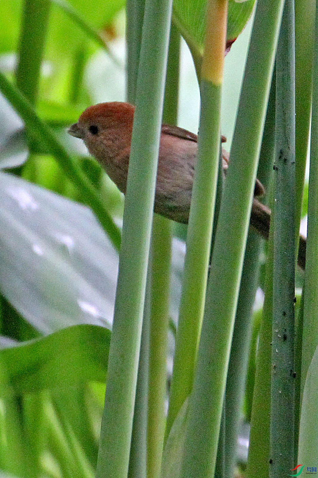 IMG_9859.JPG