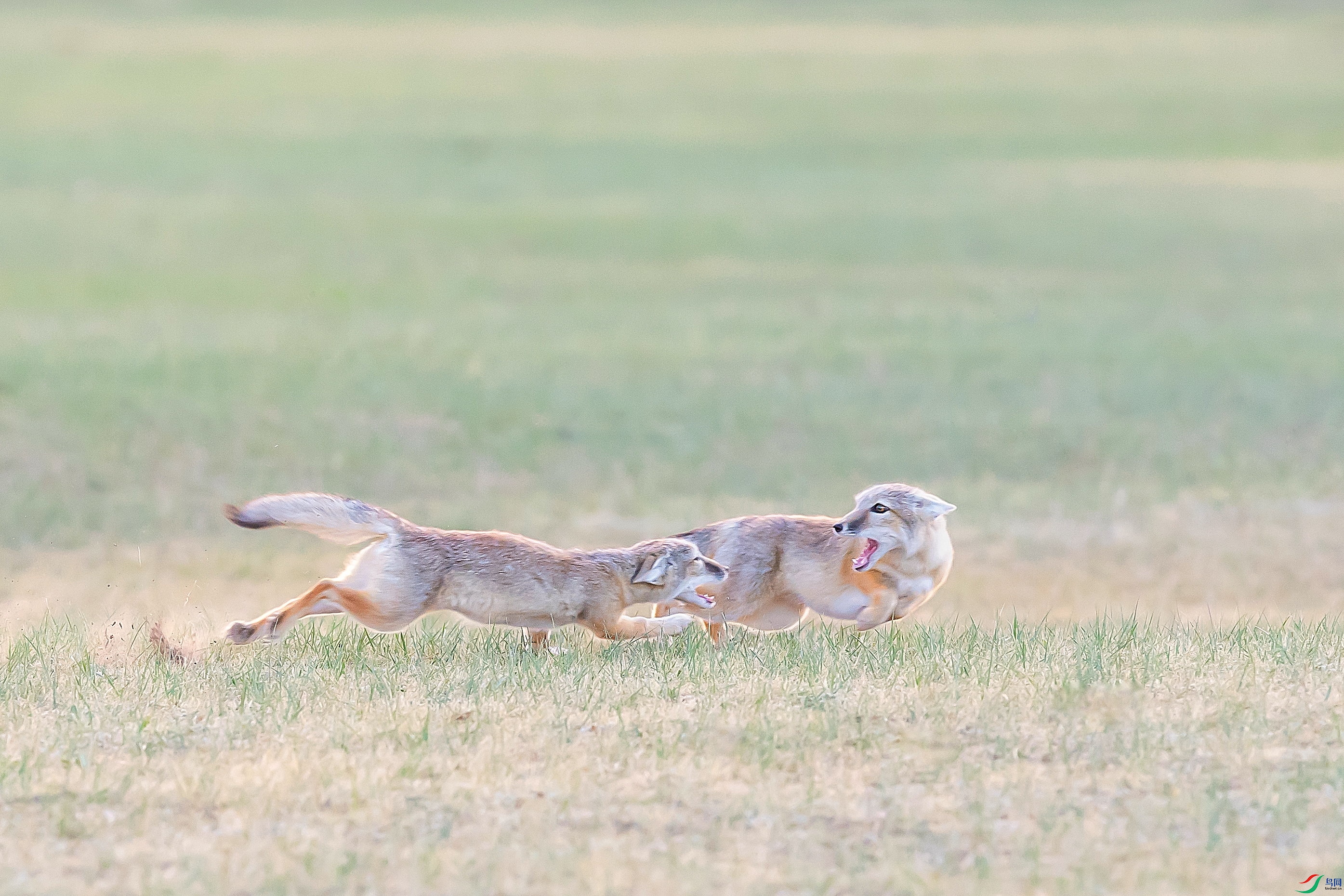 DSC_2032.jpg