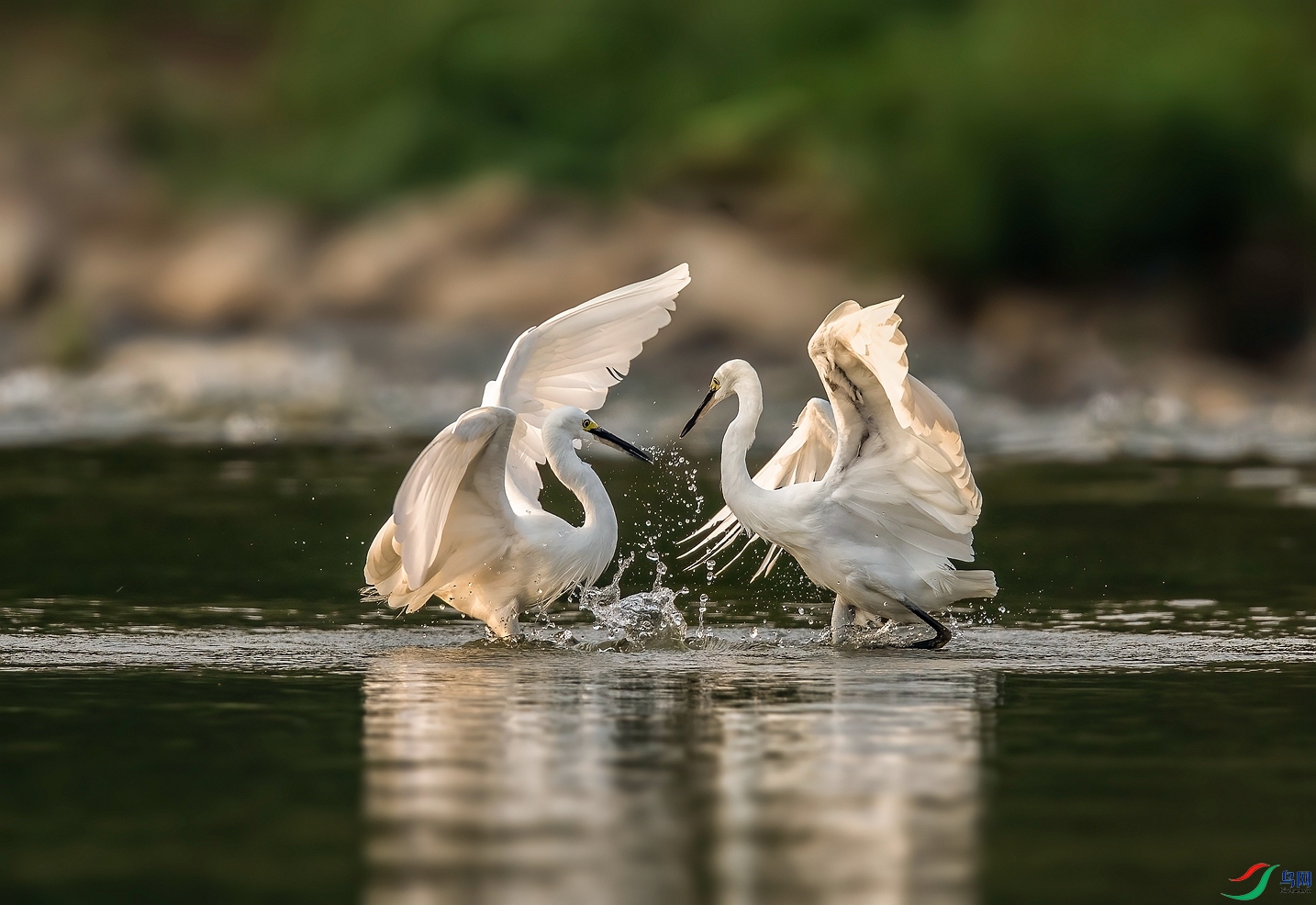 DSC_0828 ����_����.jpg