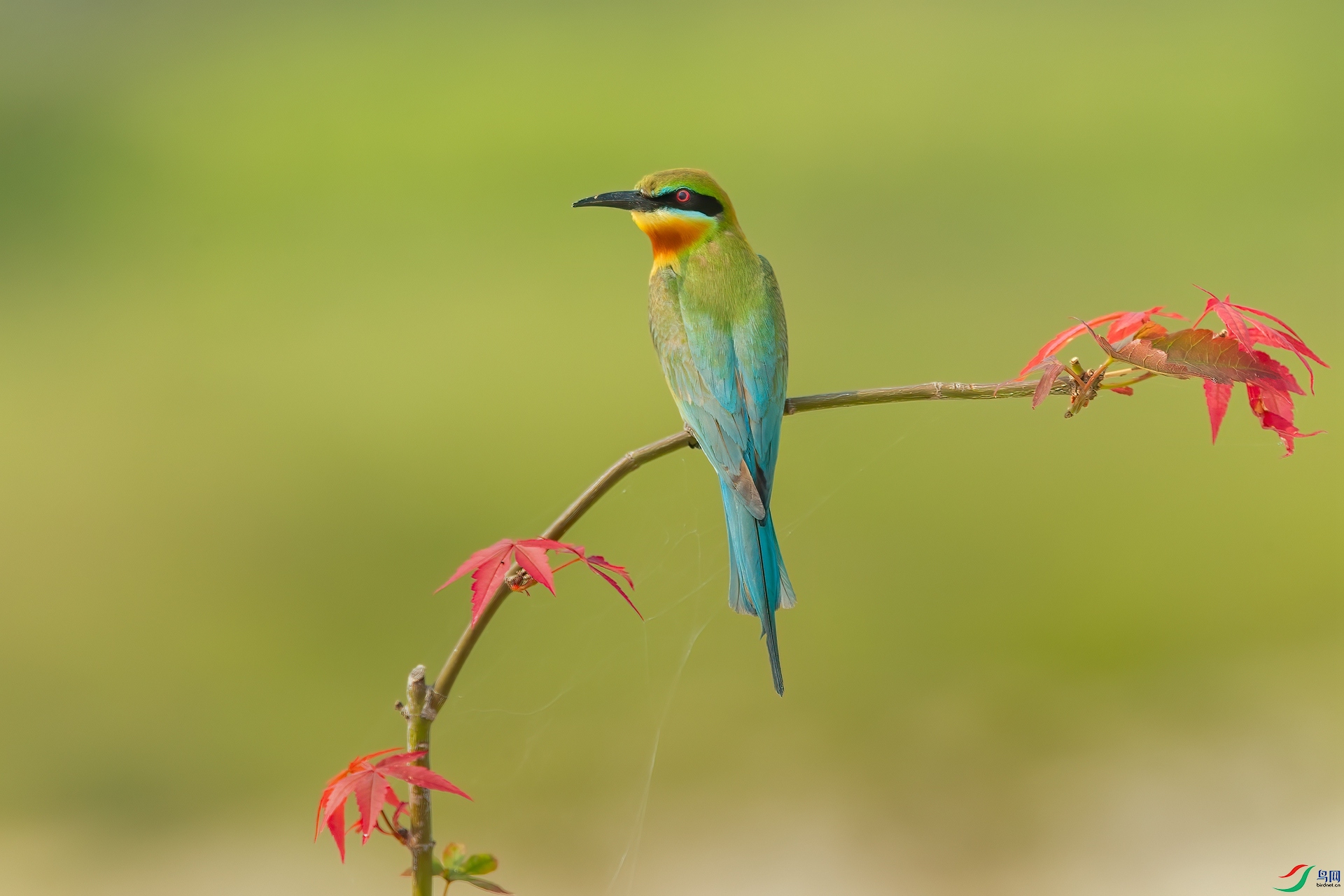 B86I6911 _����.jpg