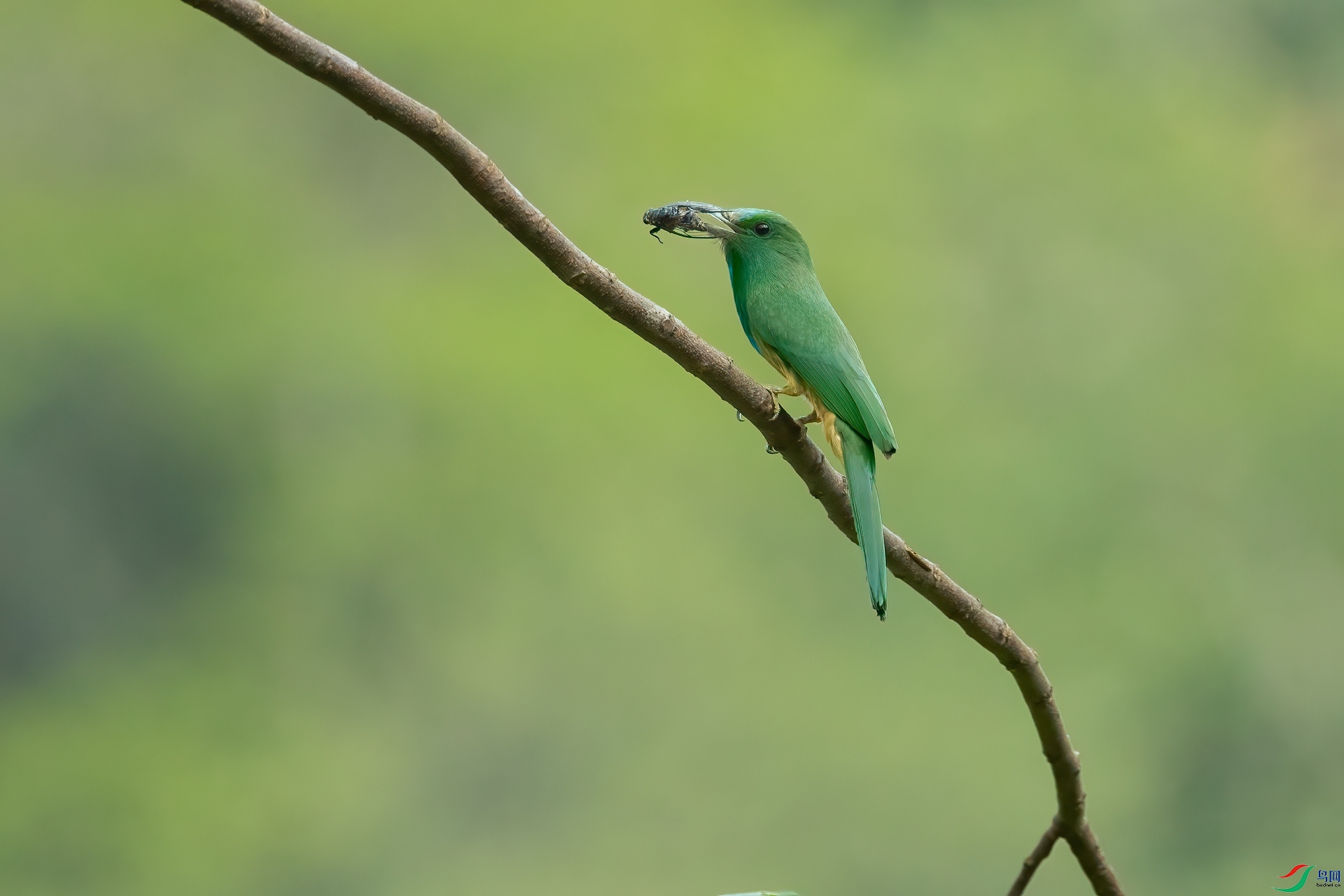 B86I5971 _����.jpg