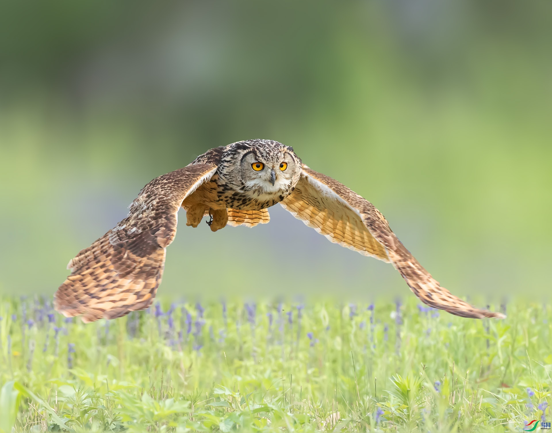 019A9442 ����.jpg