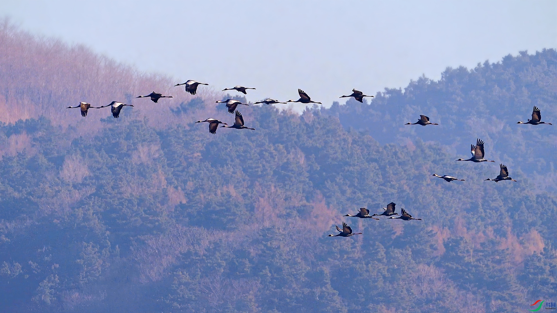 ������ �������� ����һ���������2023��3��18�� ������Ҷ��תɽ��.jpg