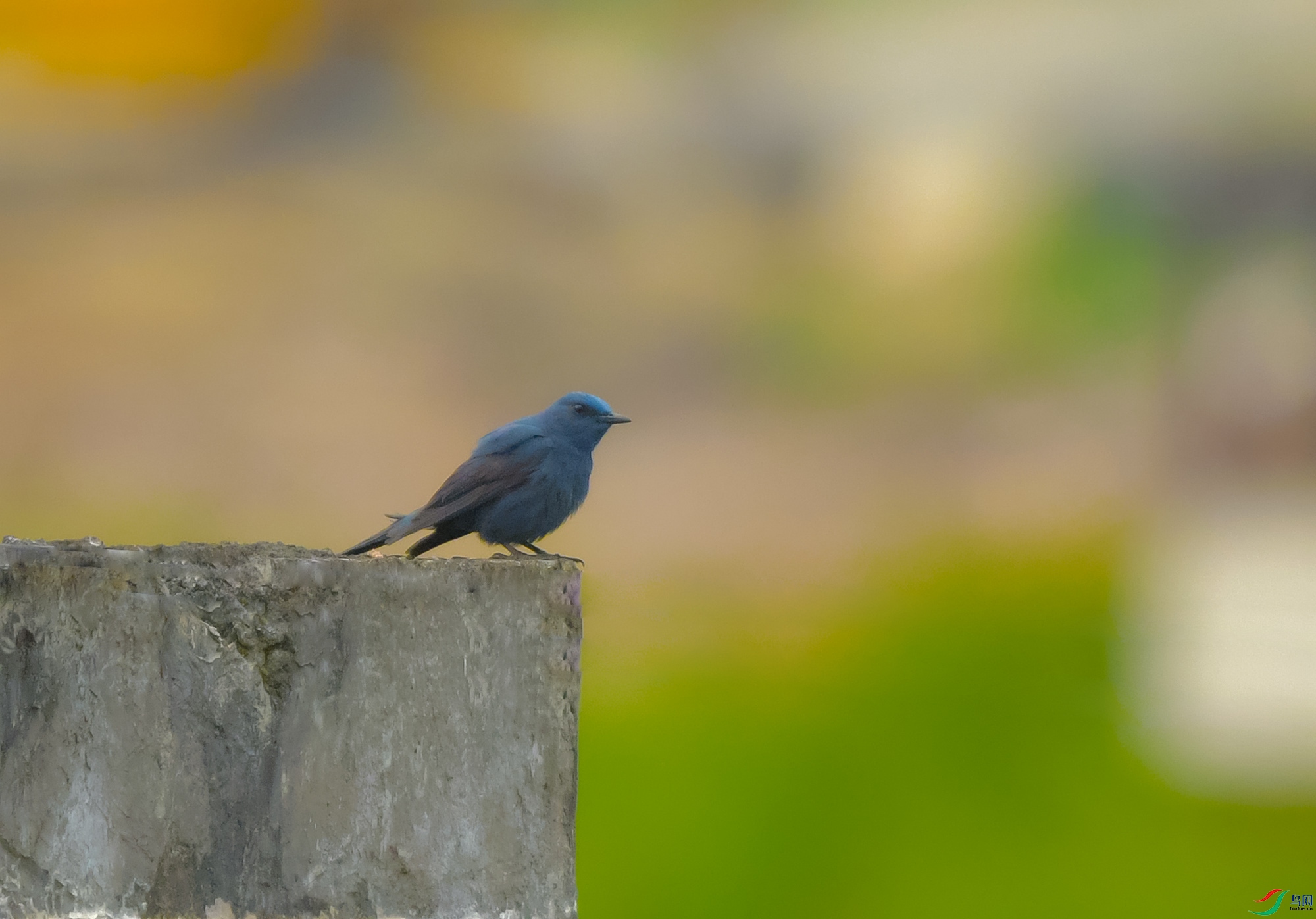 DSC_0773.JPG