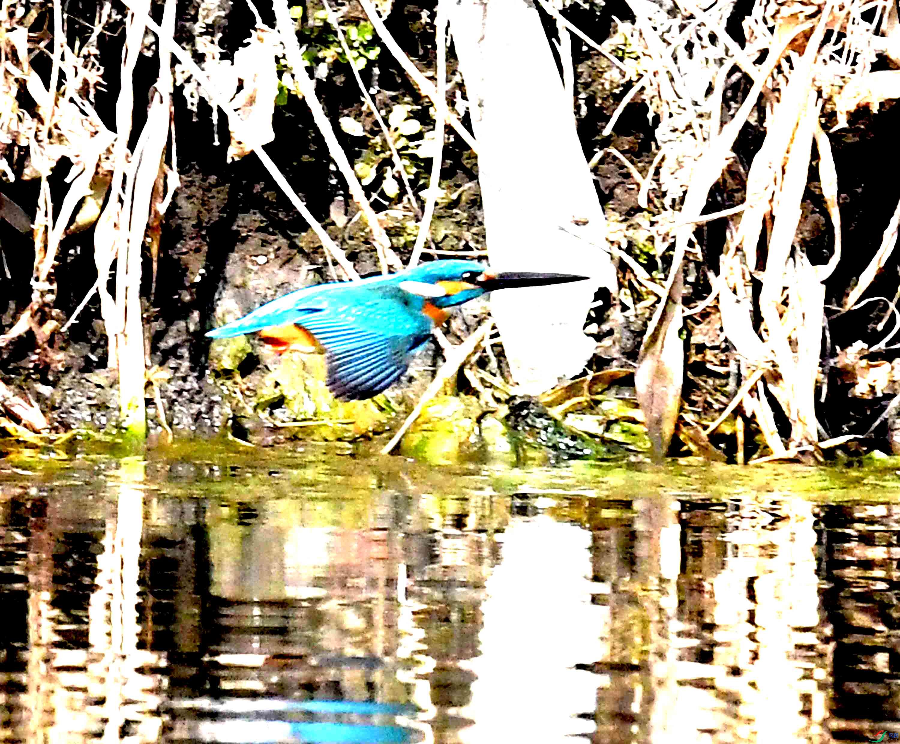 DSC_2700.JPG