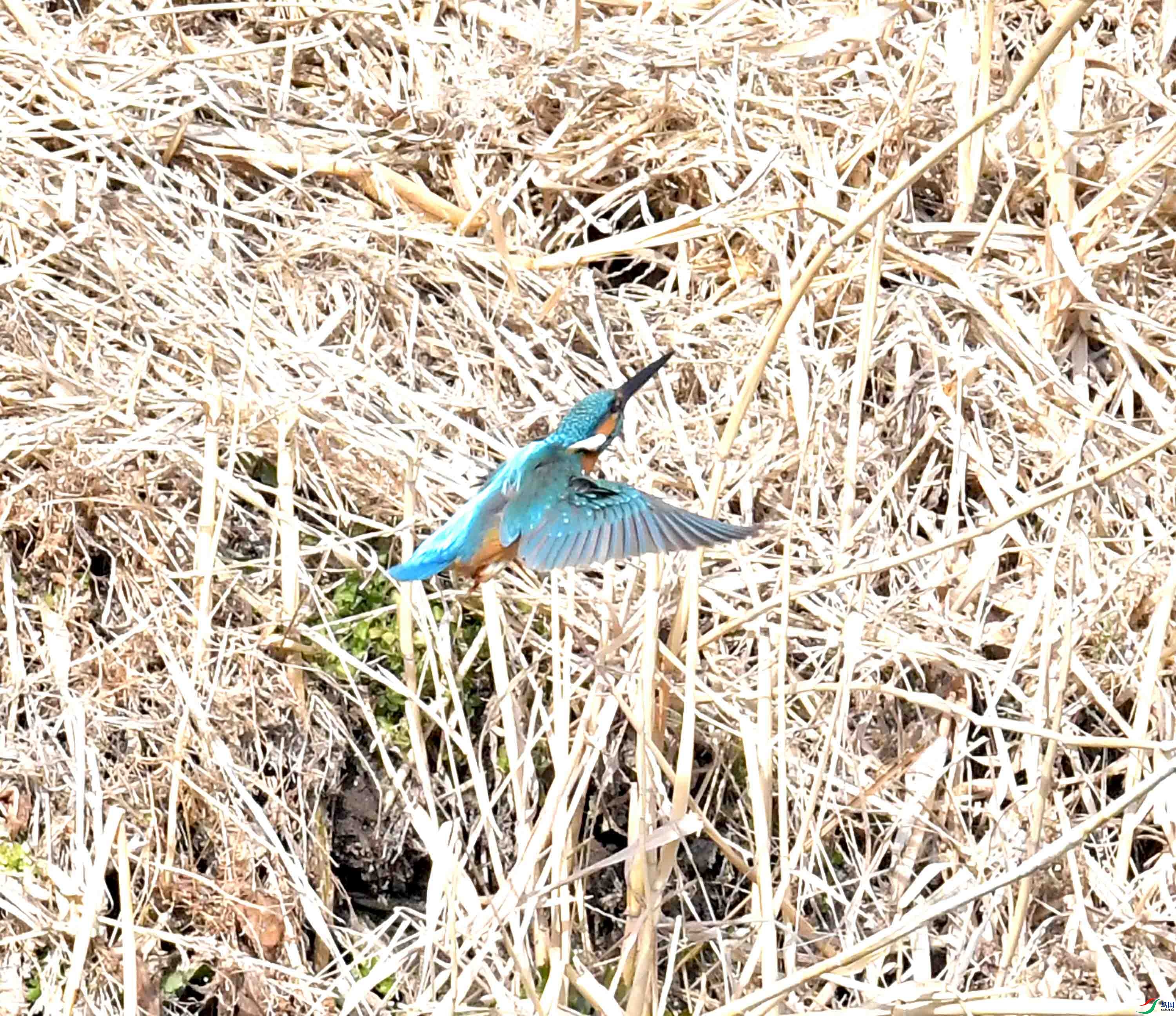 DSC_2712.JPG