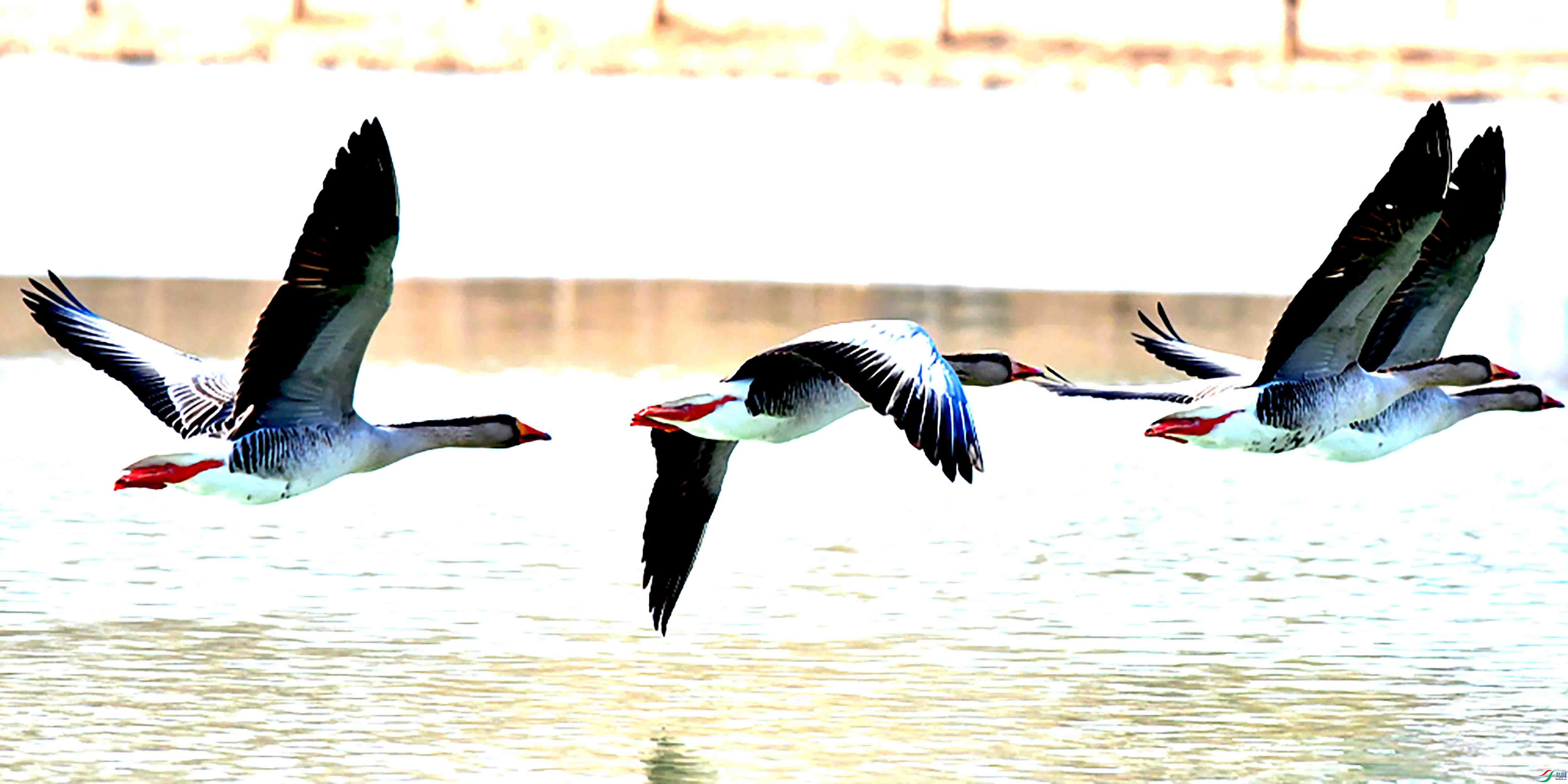 Copy2_DSC_5875.JPG