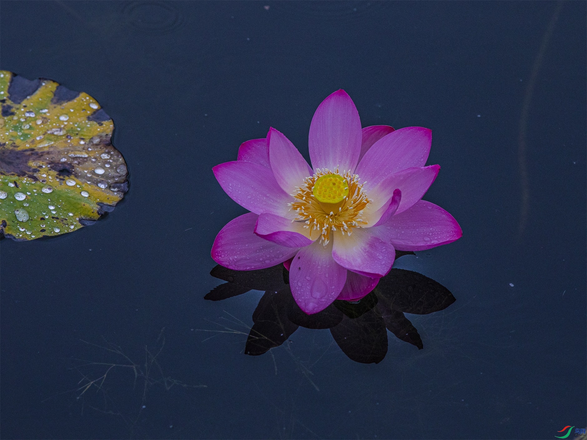 CY4A8706 ����1.jpg