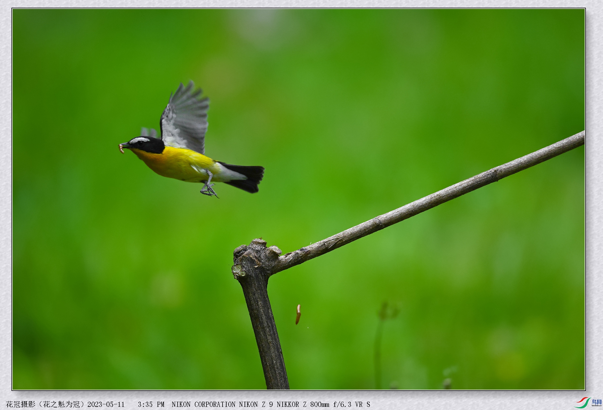 DSC_8906B-1_����.jpg
