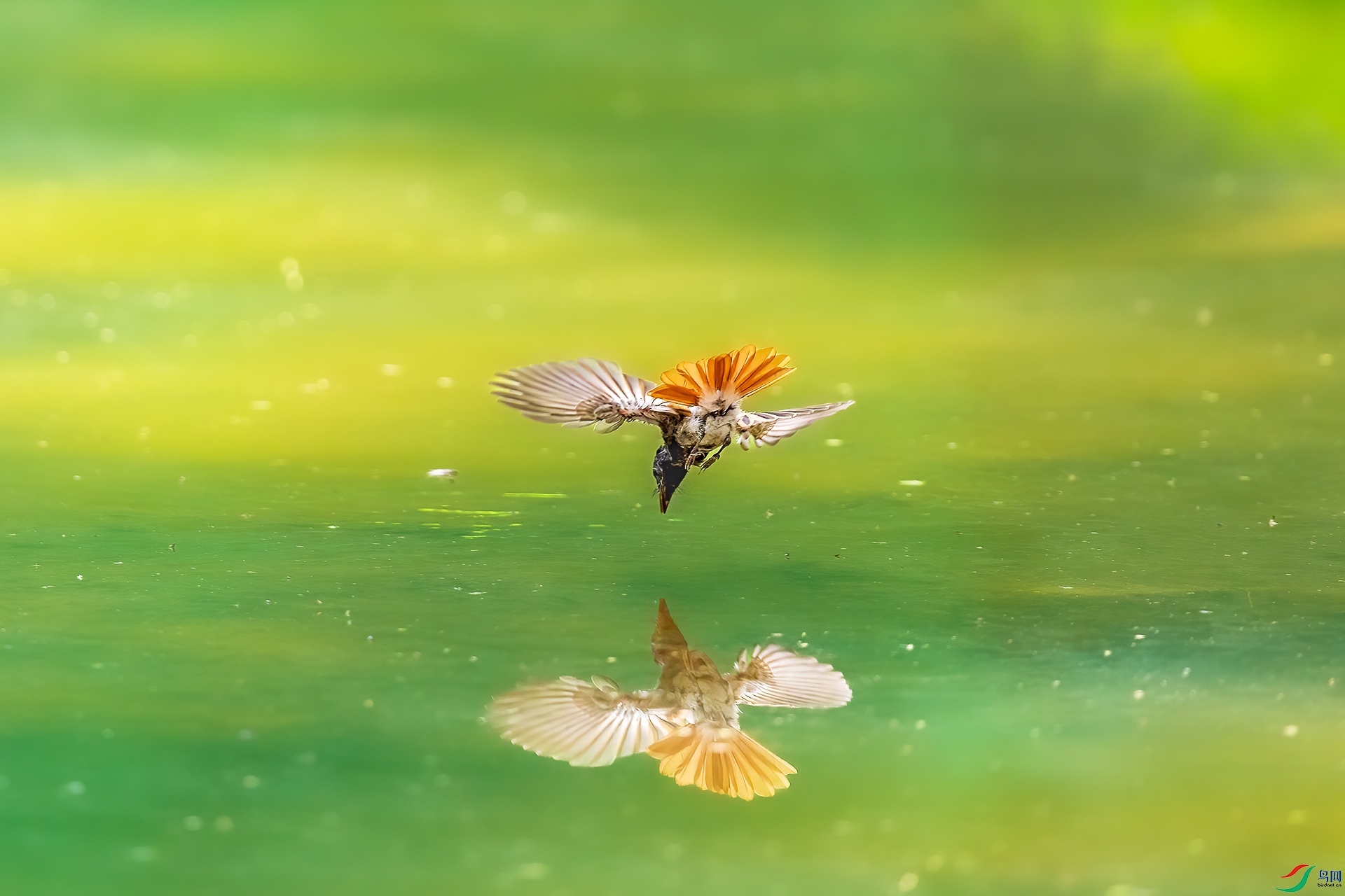 _55A0255-����dc.jpg