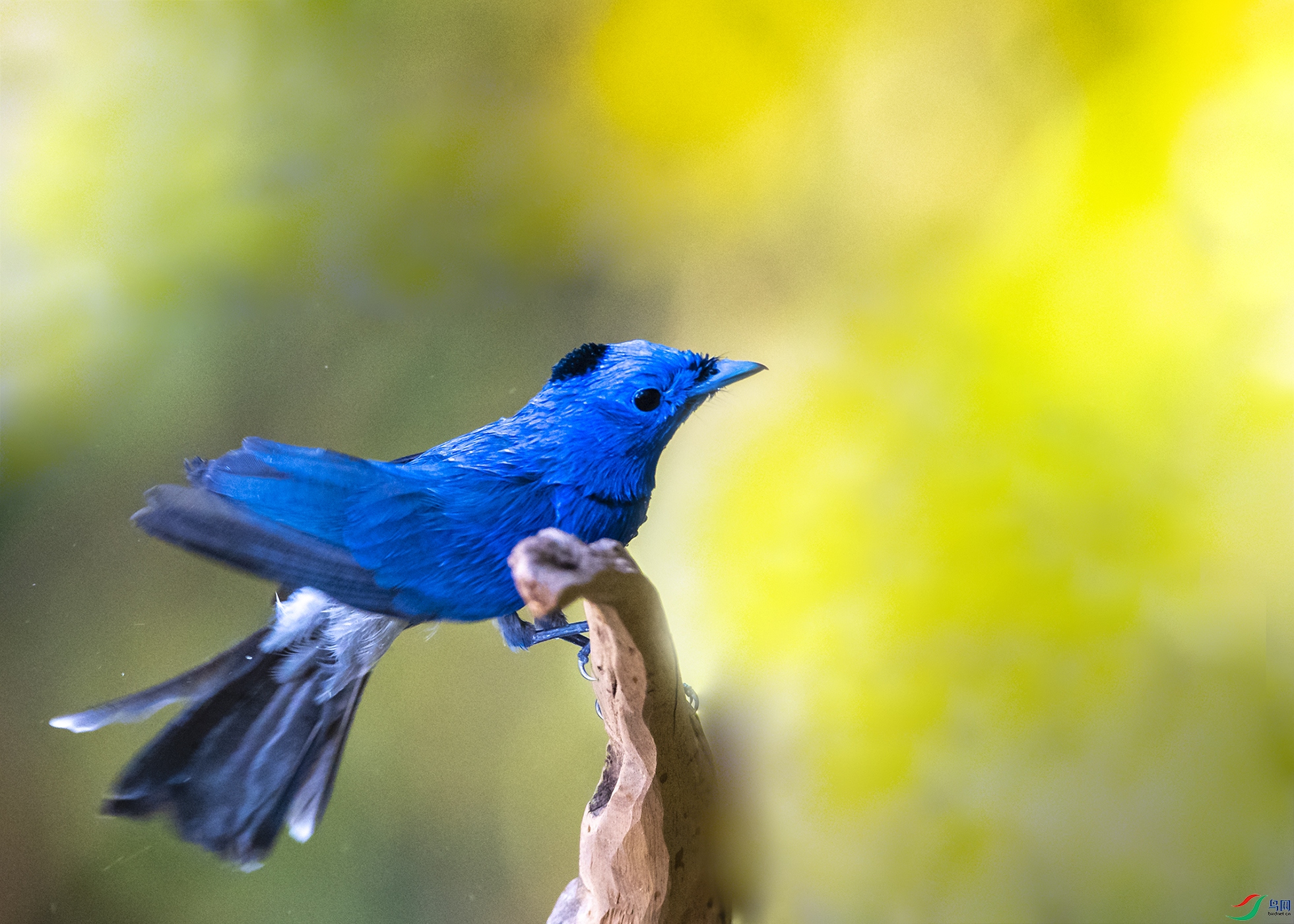 7240 ����.jpg