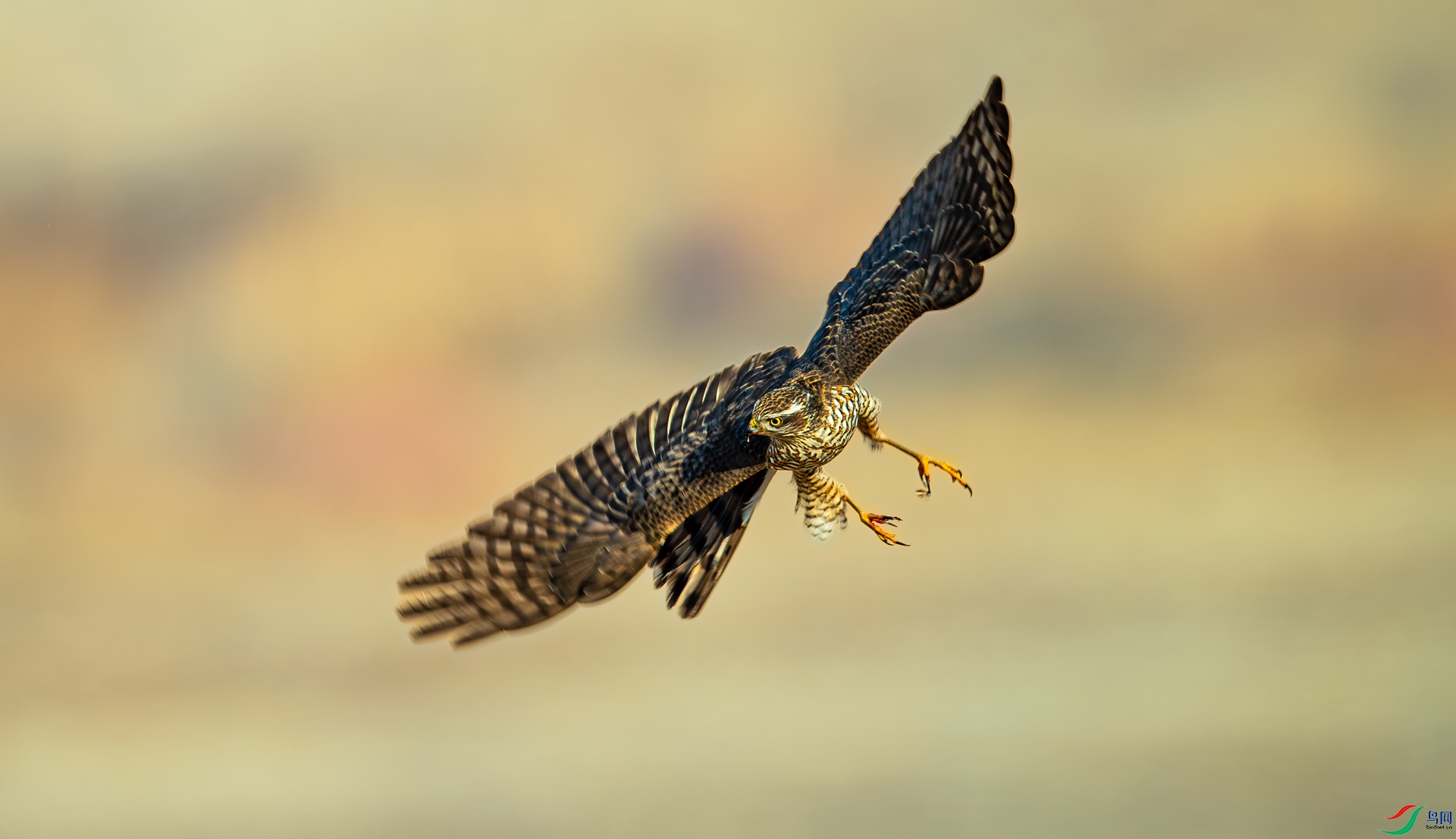 _DSC7541==1w.jpg