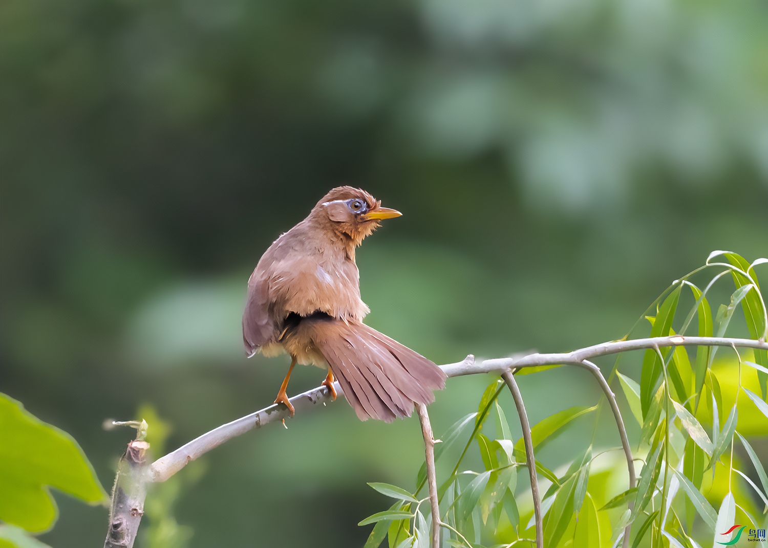 DSC_3144-2.jpg