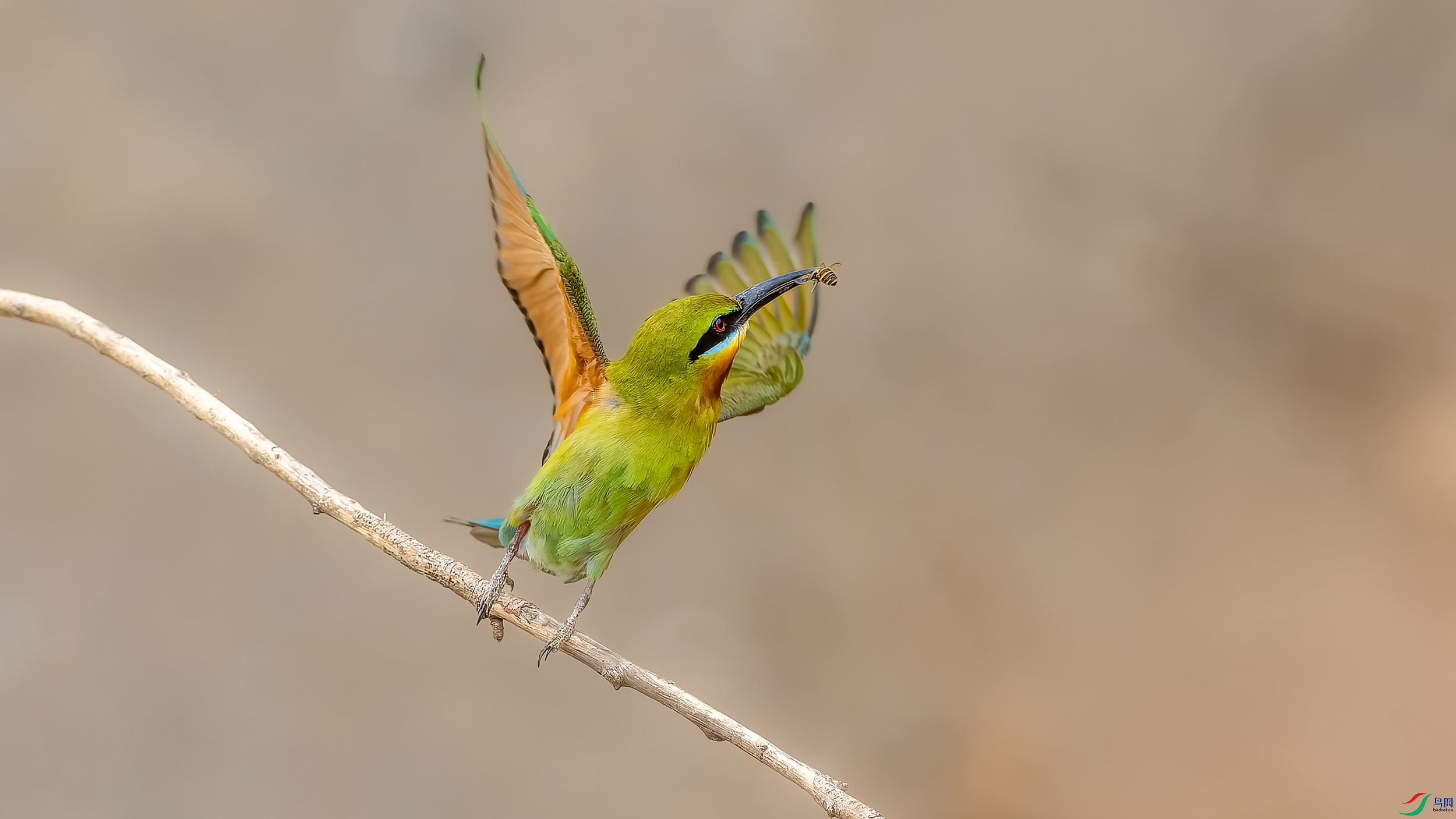 _6103381-ORF_DxO_DeepPRIME ���� 2.jpg