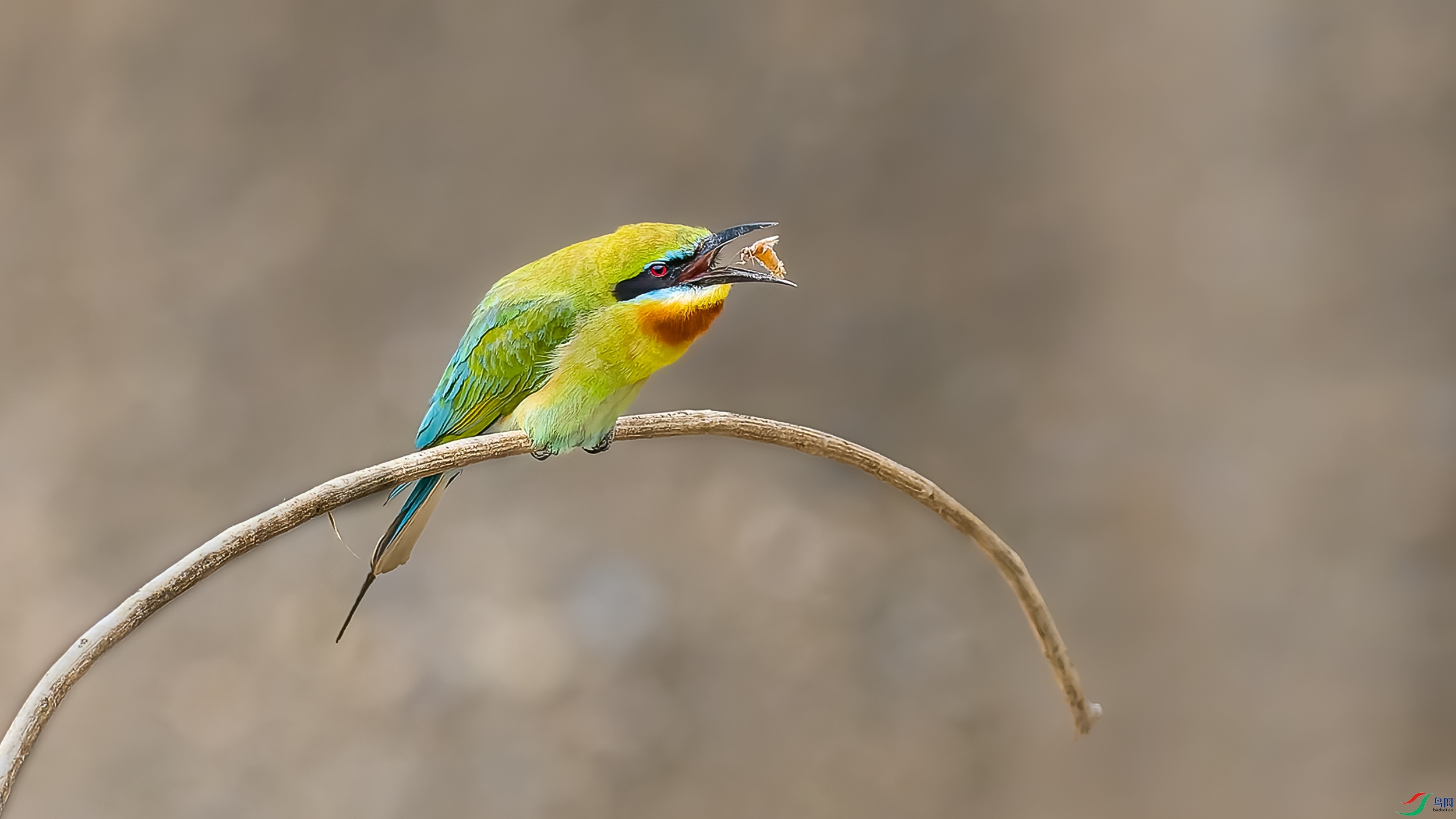 _6104431-ORF_DxO_DeepPRIME ����.jpg