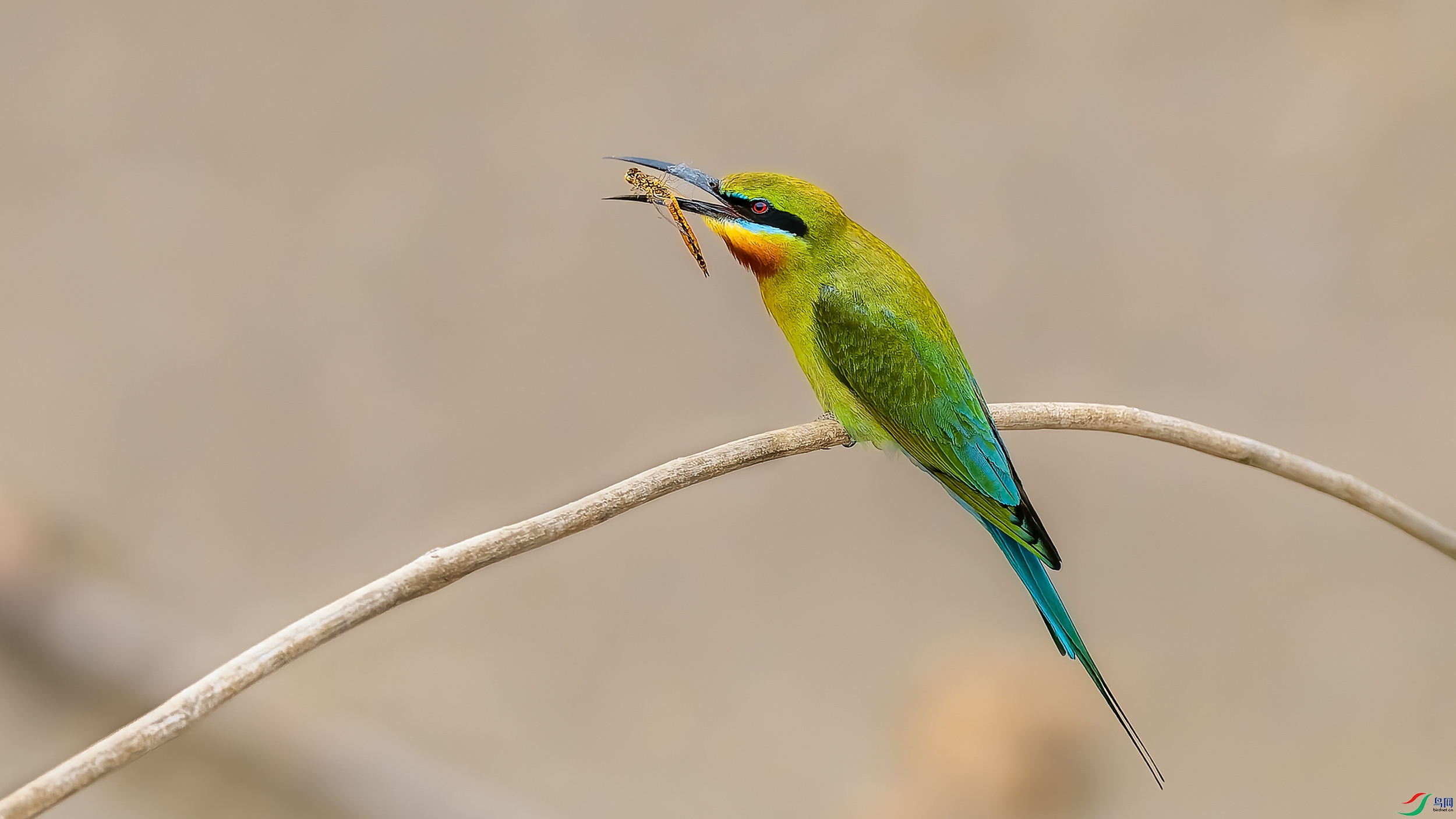 _6105175-ORF_DxO_DeepPRIME ����.jpg