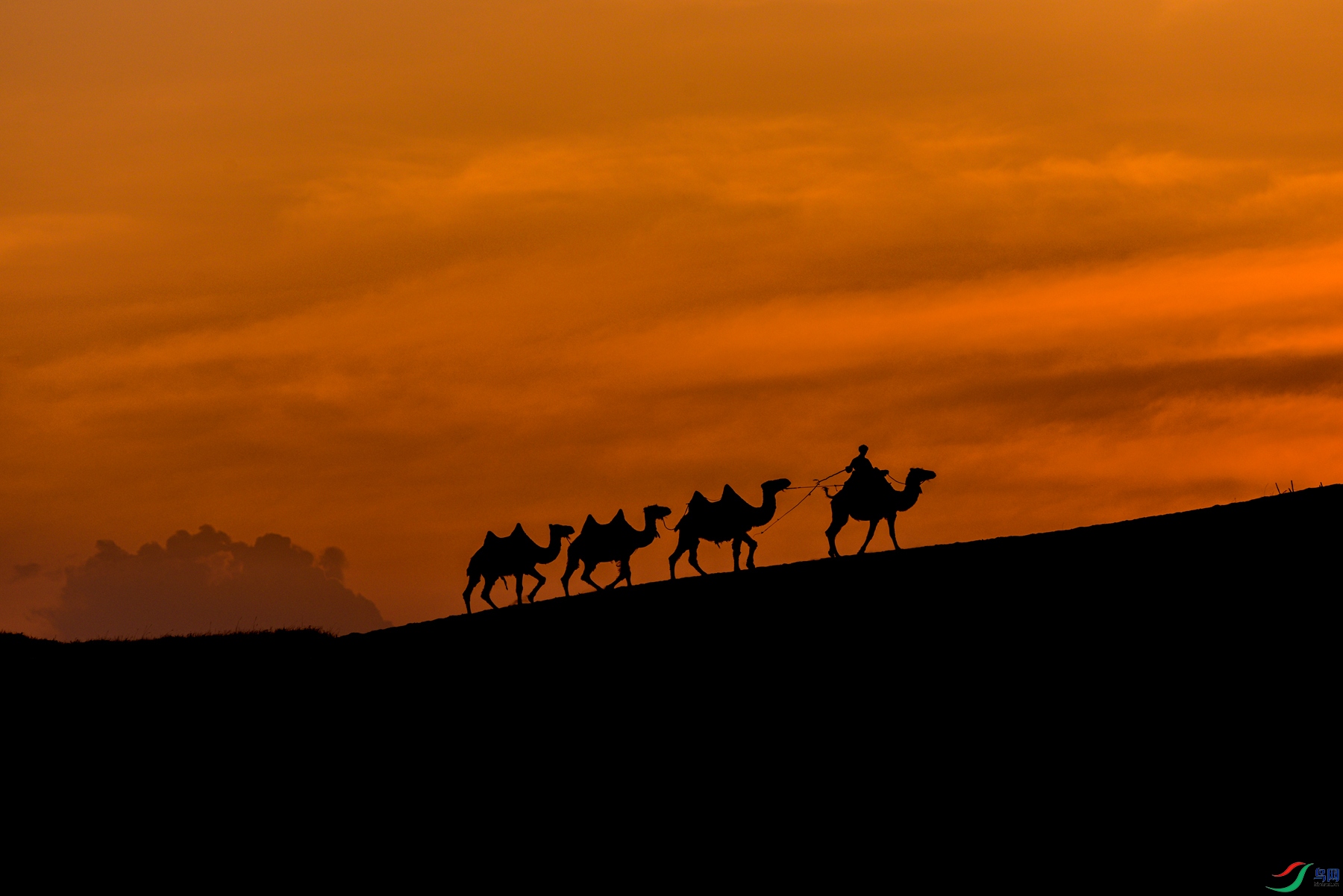 DSC_1716 ����_����_����_����.jpg