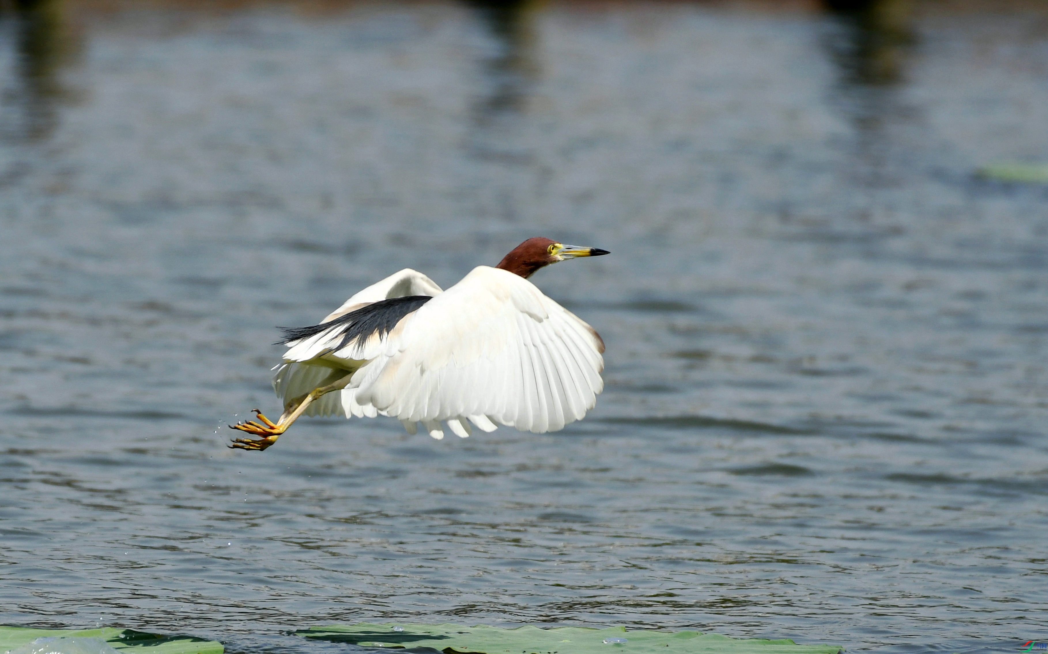 DSC_5341.JPG