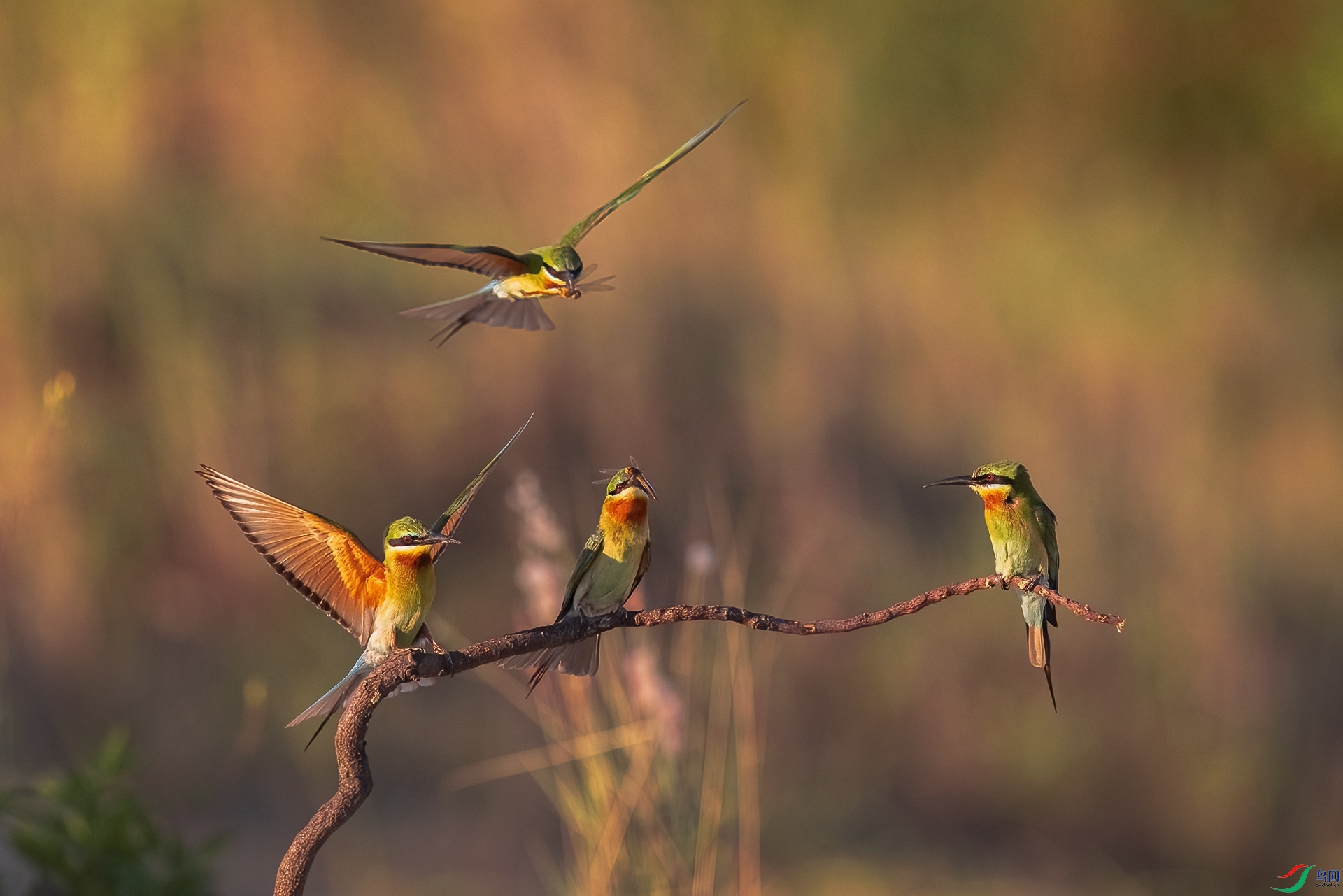 A75A0213-�༭ ����.jpg