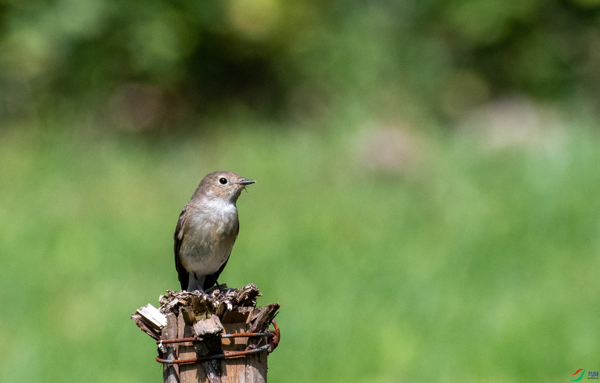 DSC_7270.jpg