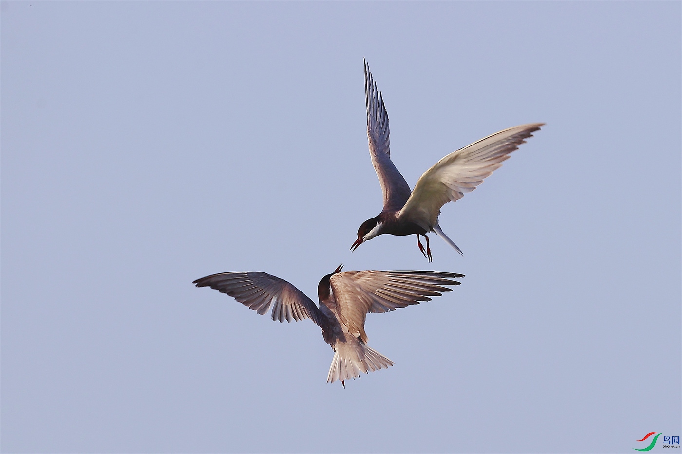 ΢��ͼƬ_20230710151812.jpg