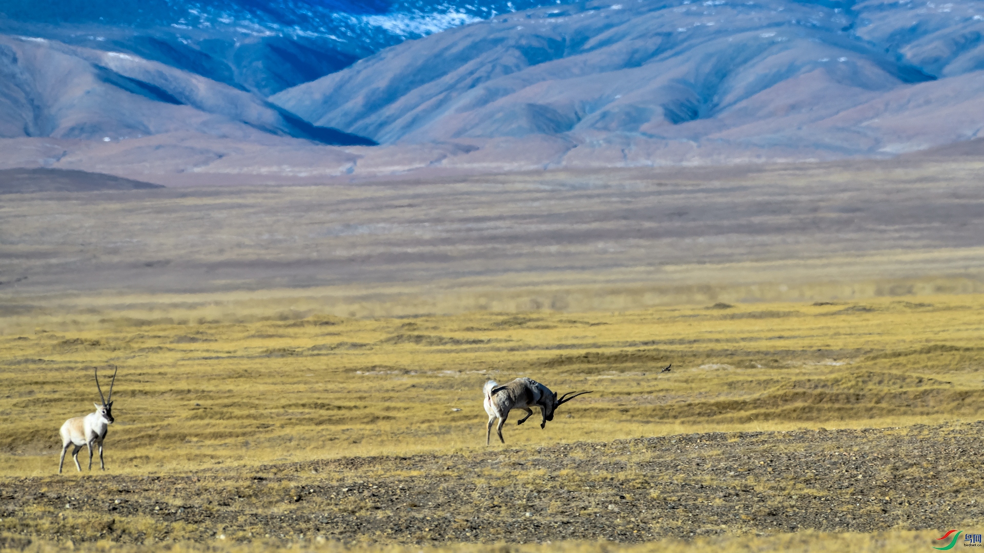 _DSC2708_����.jpg