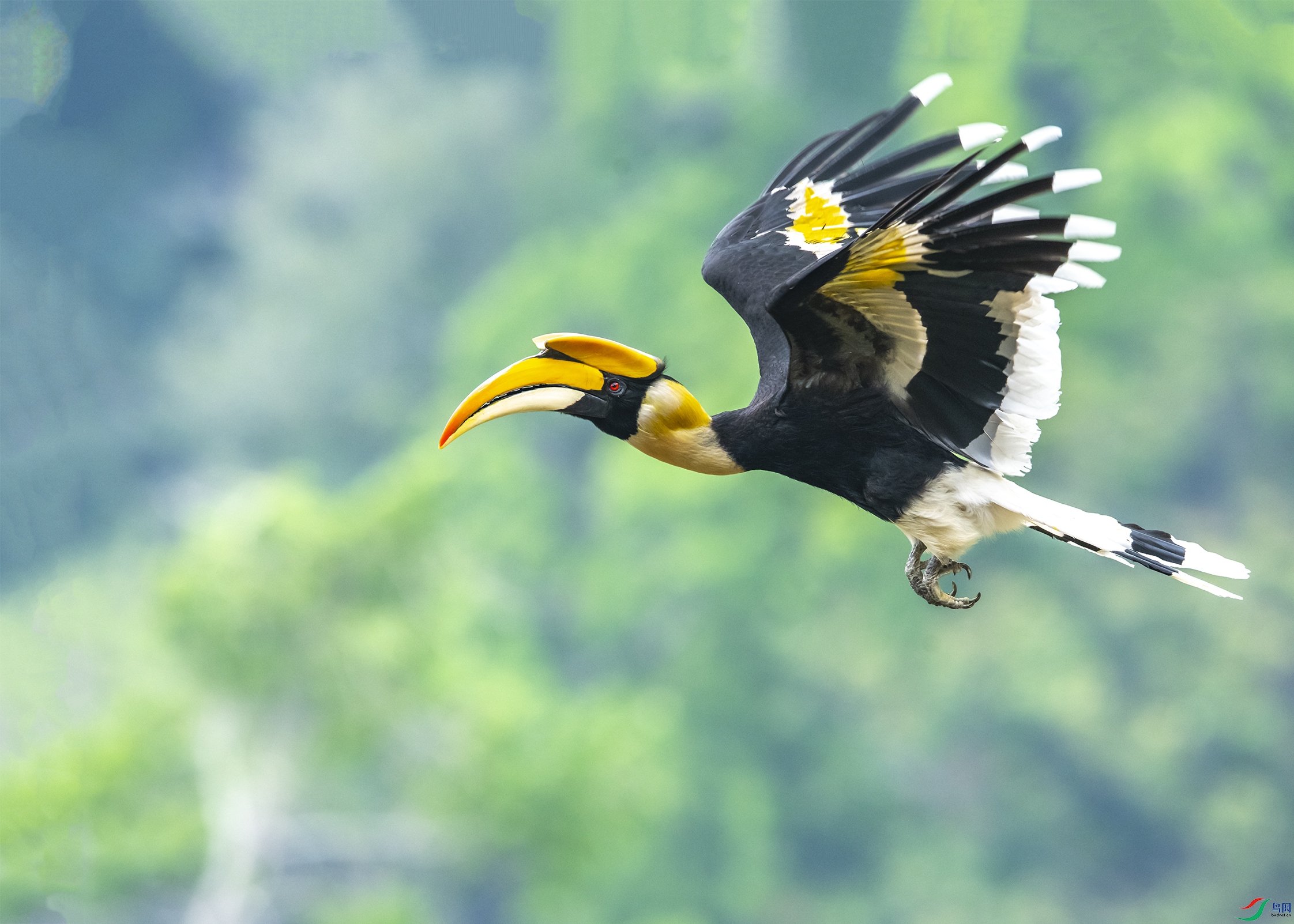 6106 ����.jpg