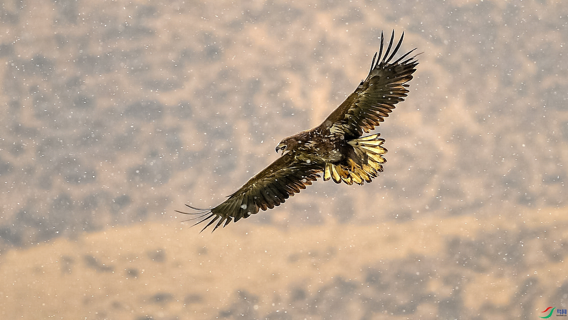 DSC_0551_����.jpg