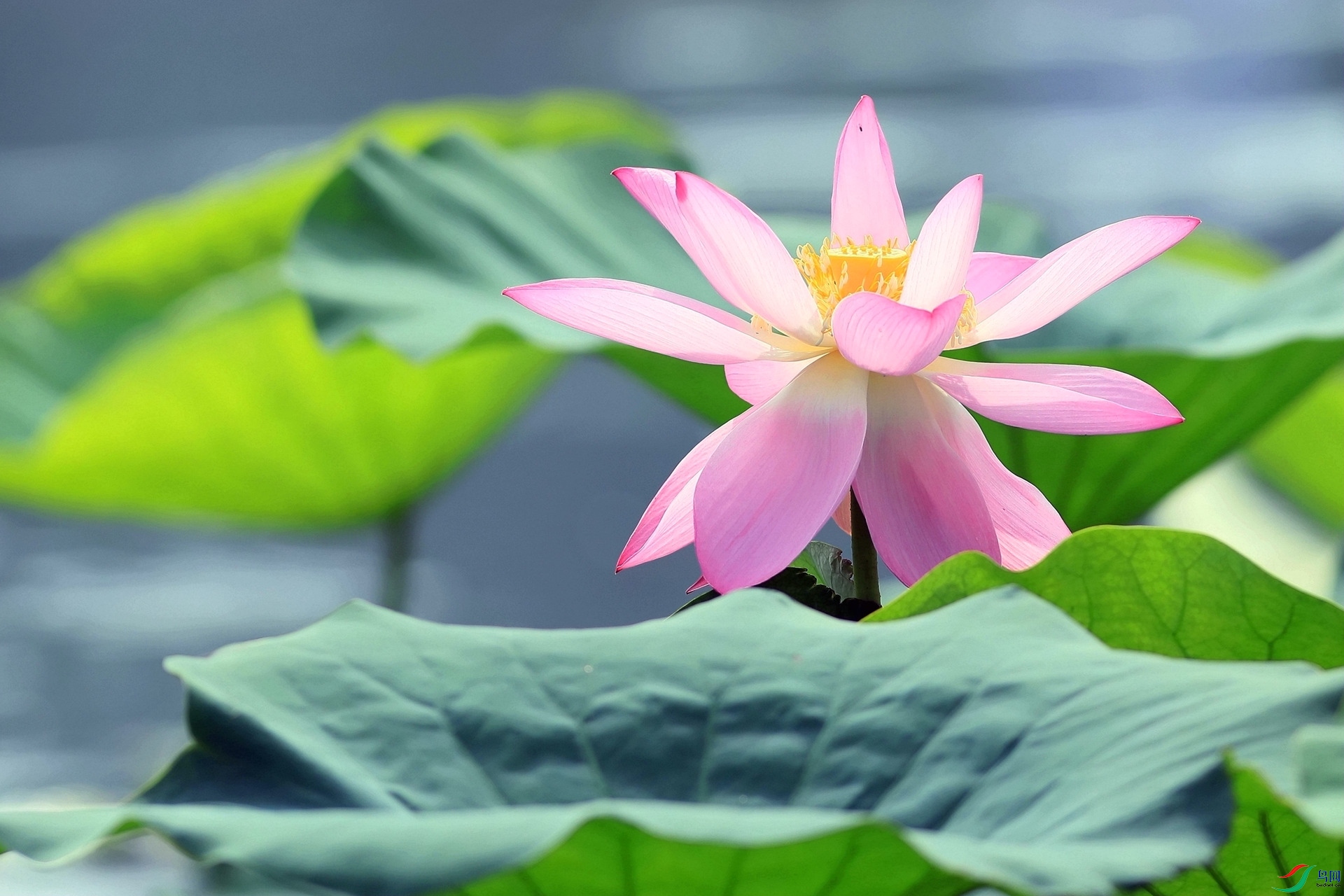 ����֮��