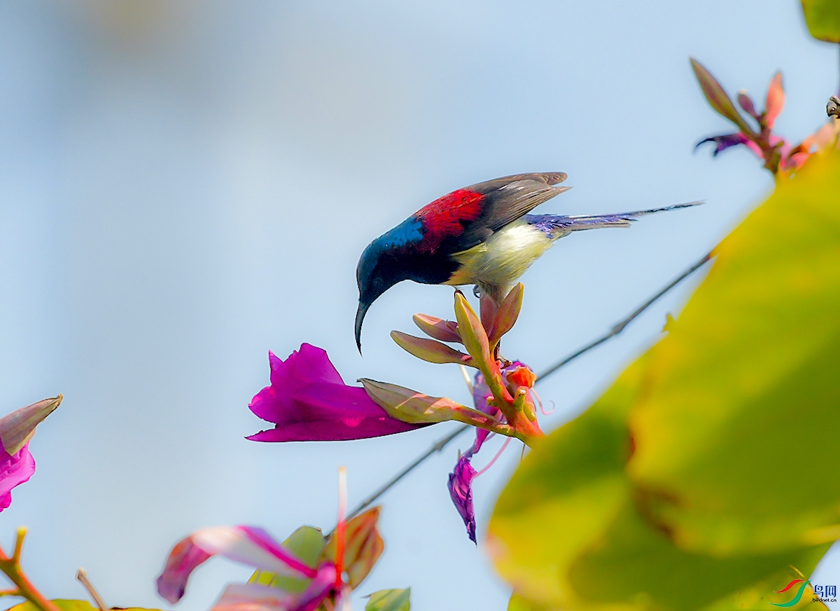 DSC_4015.JPG
