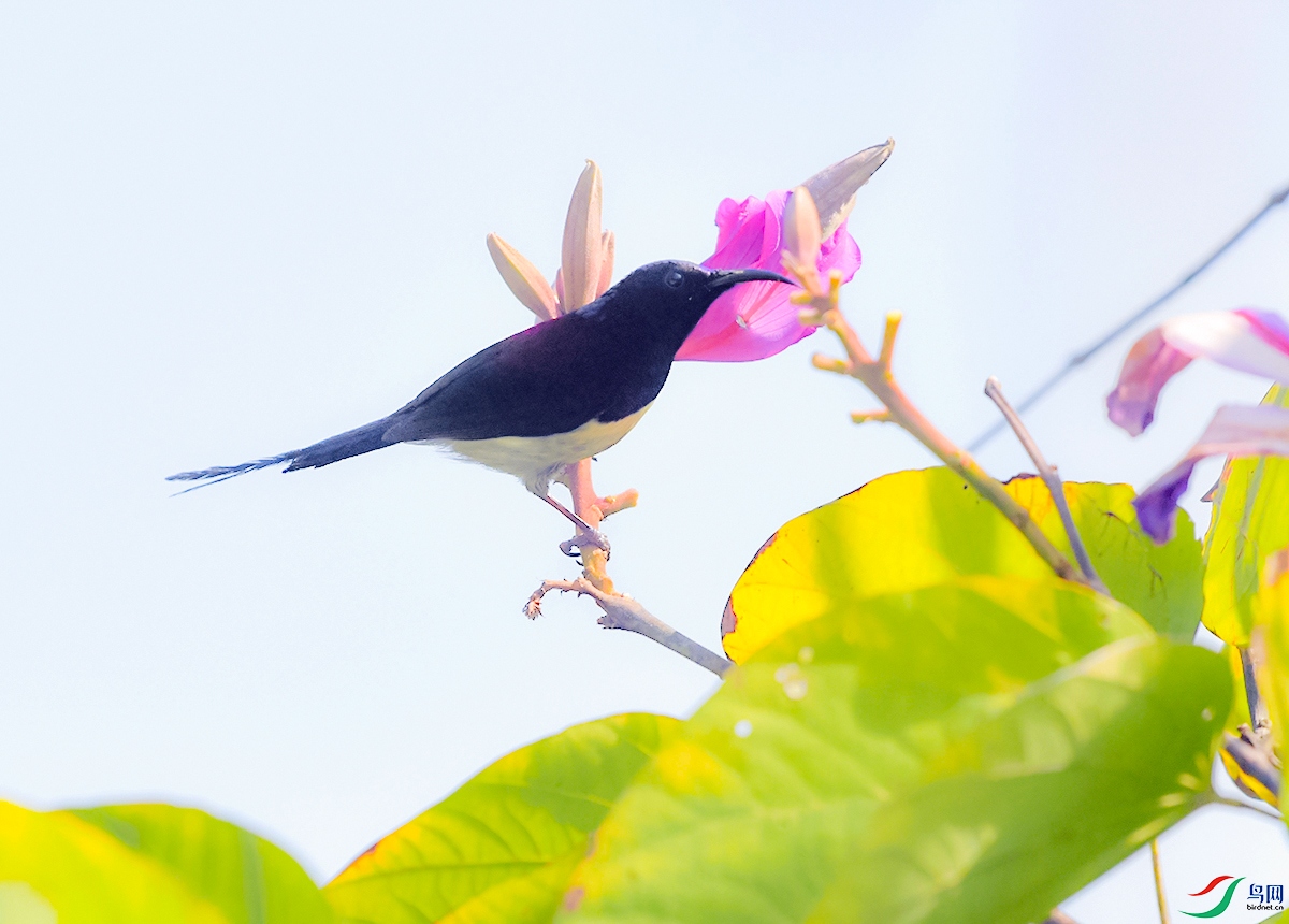 DSC_4039.JPG