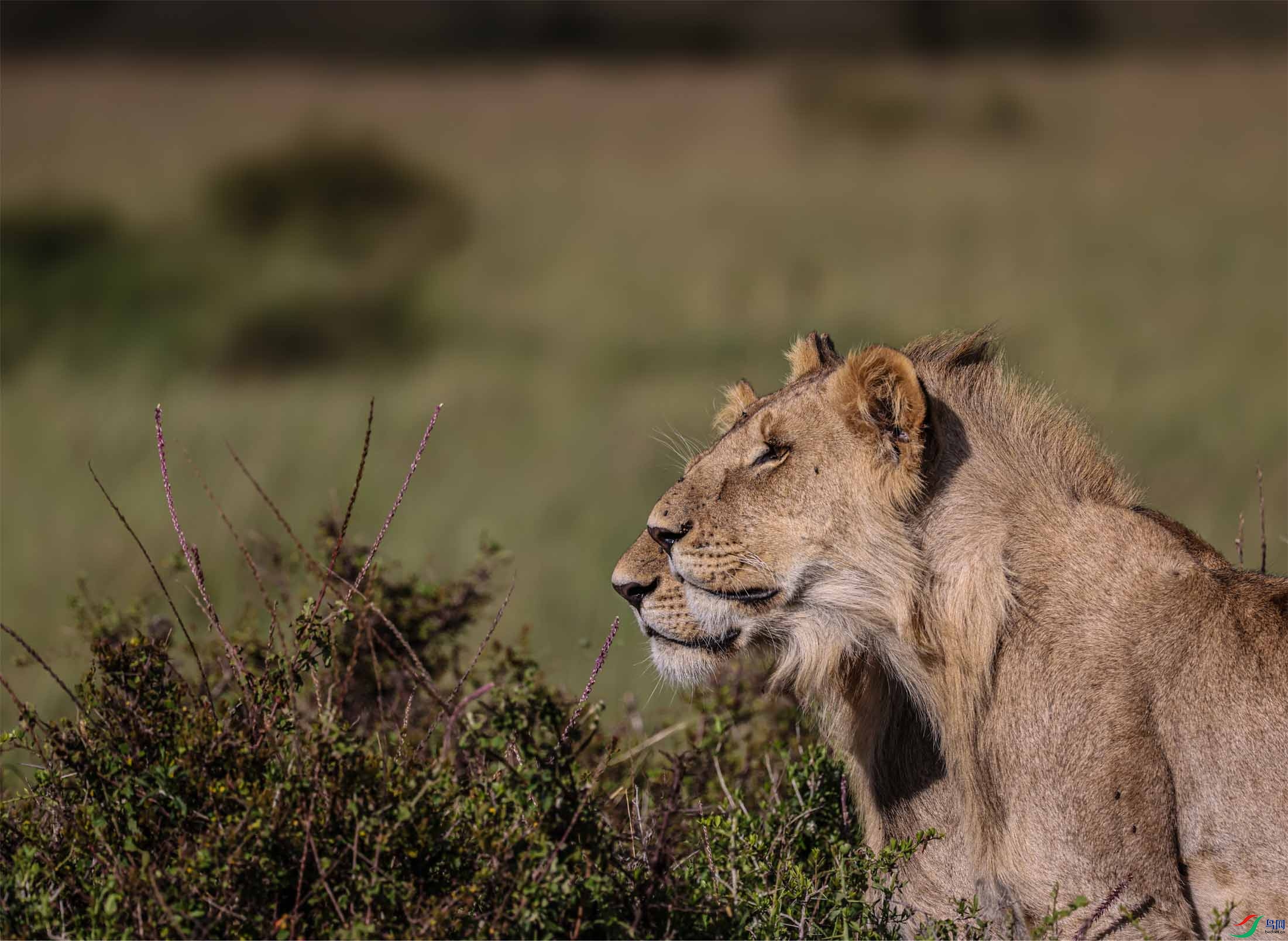 ����Ŀ�ꡣ���������� ����.jpg