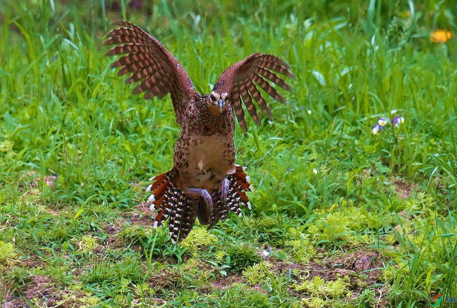 ��ȥ���⡣