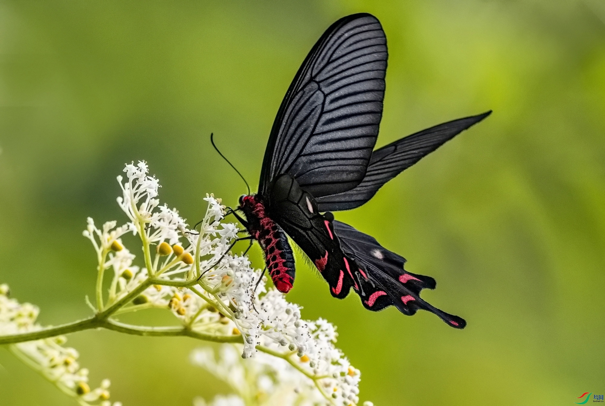 �������� (4).jpg