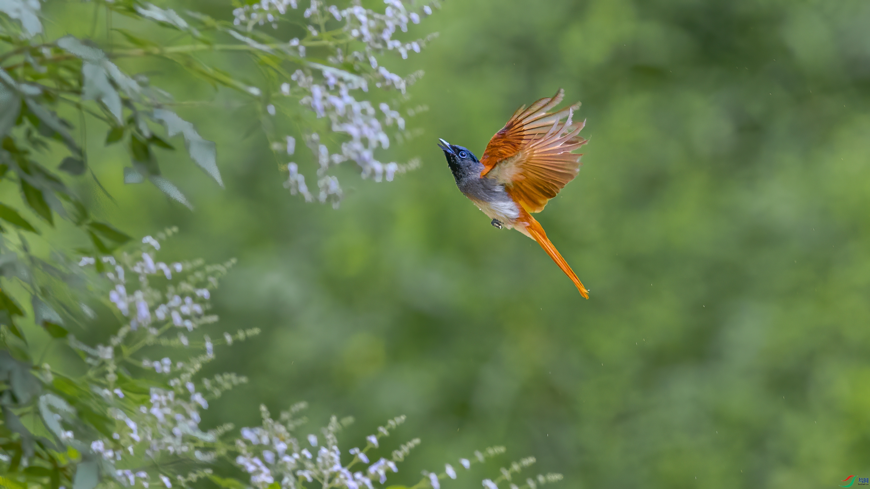 0D7A5651-2.jpg