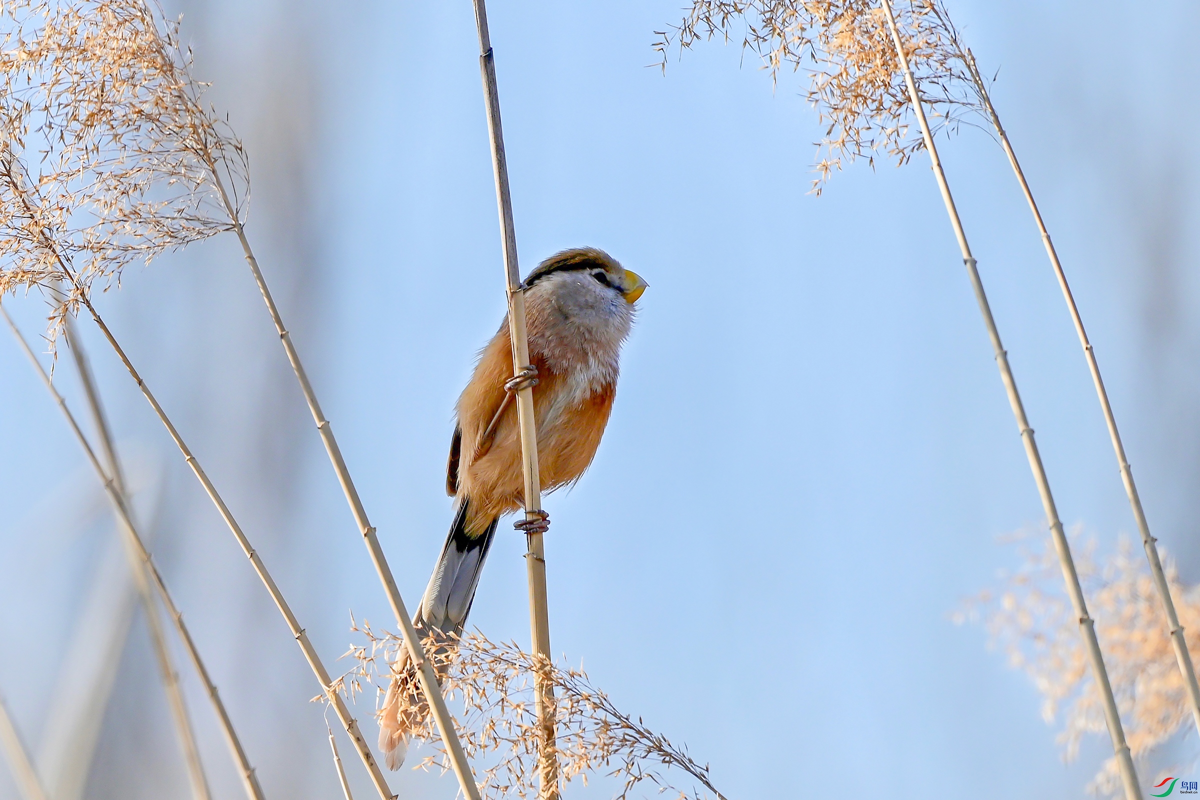 DSC_5706.jpg