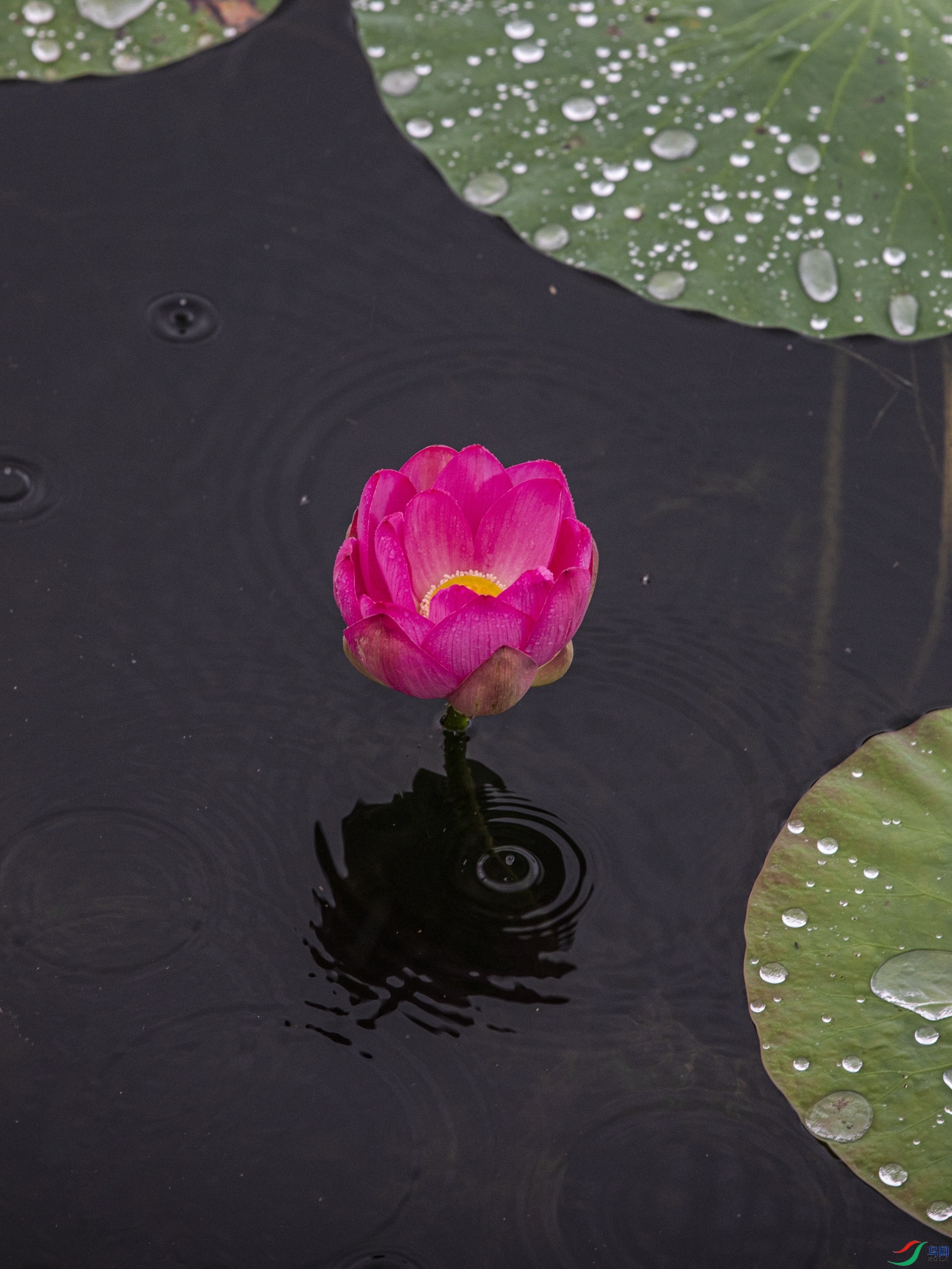 CY4A8711 ����1.jpg